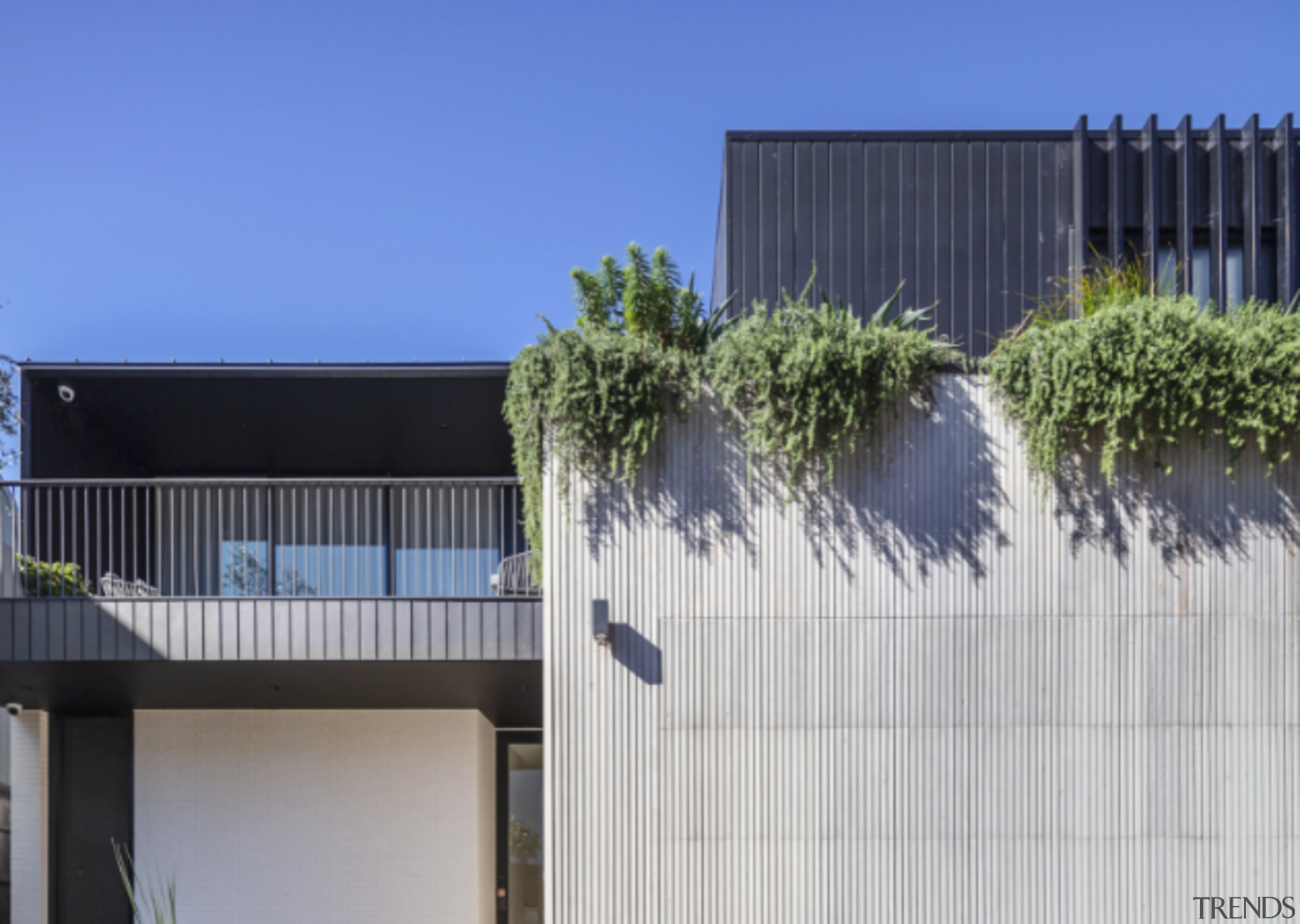 The landscaping softens the home's strong architectural lines 