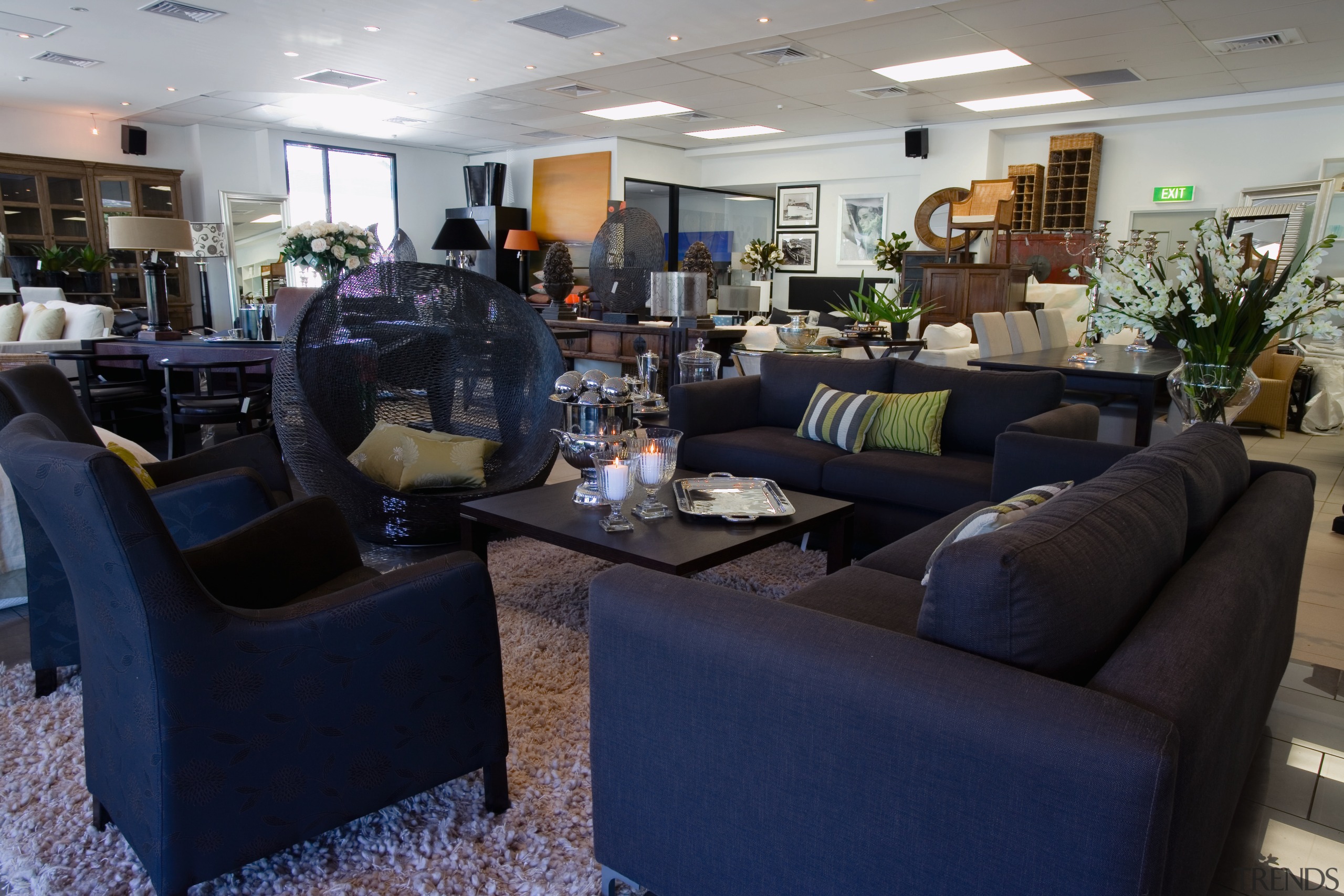 View of showroom with closeup of dark coloured furniture, interior design, living room, lobby, gray, blue