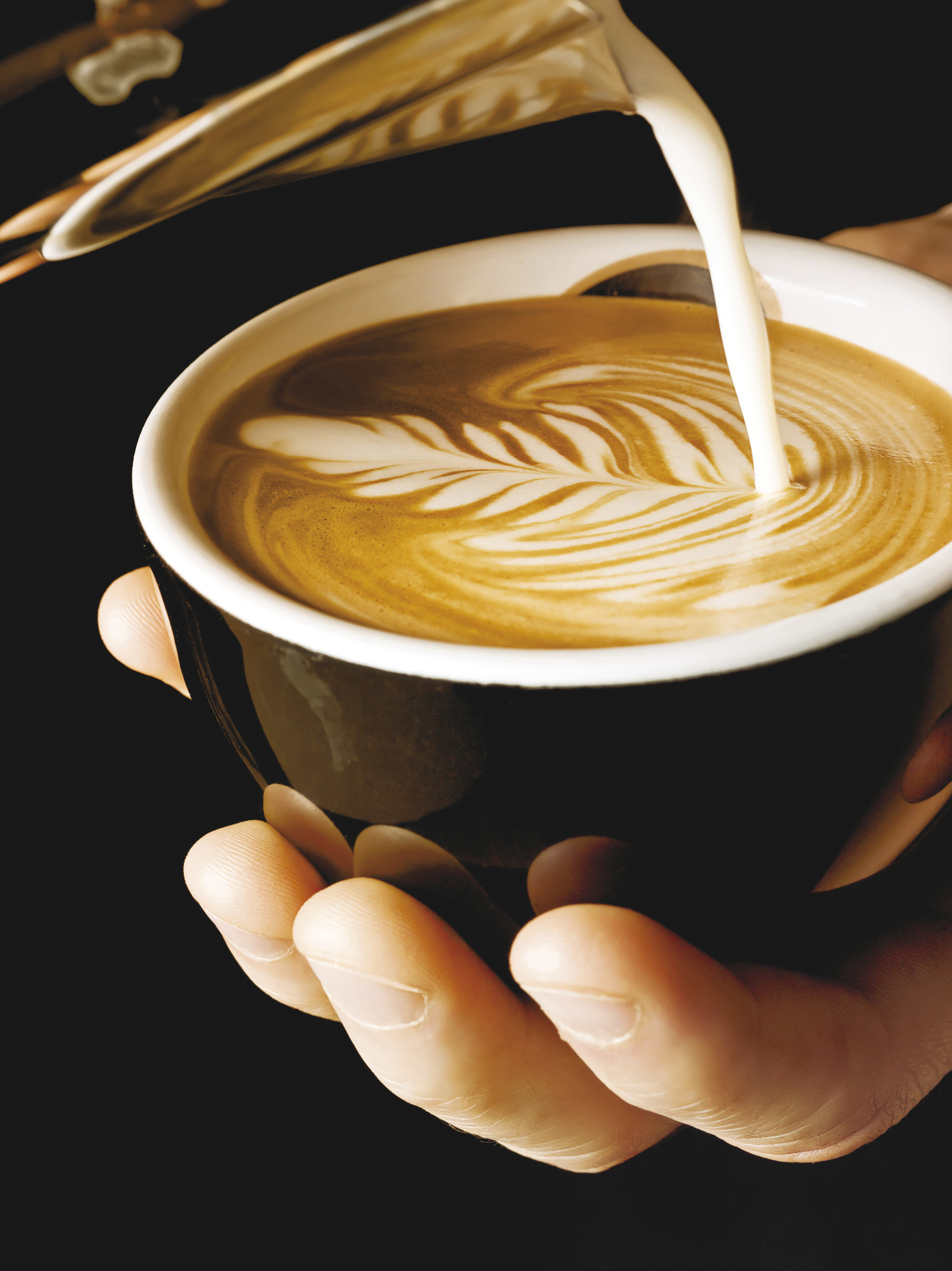 Altura Coffee Machine - Altura Coffee Machine - café au lait, caffè macchiato, caffeine, cappuccino, coffee, coffee cup, coffee milk, cup, drink, espresso, flat white, flavor, instant coffee, latte, mocaccino, ristretto, black