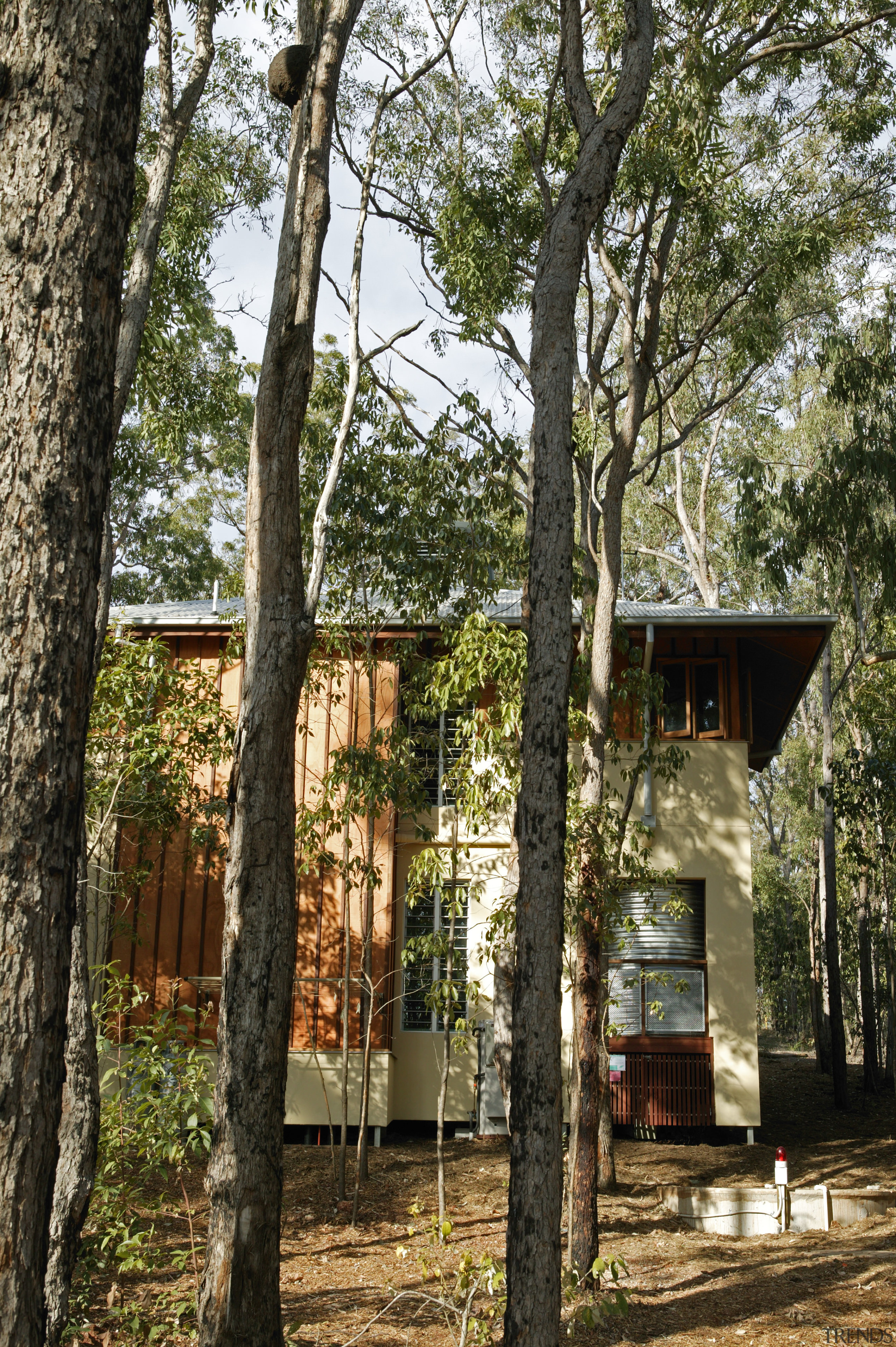 External view of sustainable house built by Natural cottage, home, house, outdoor structure, plant, tree, brown