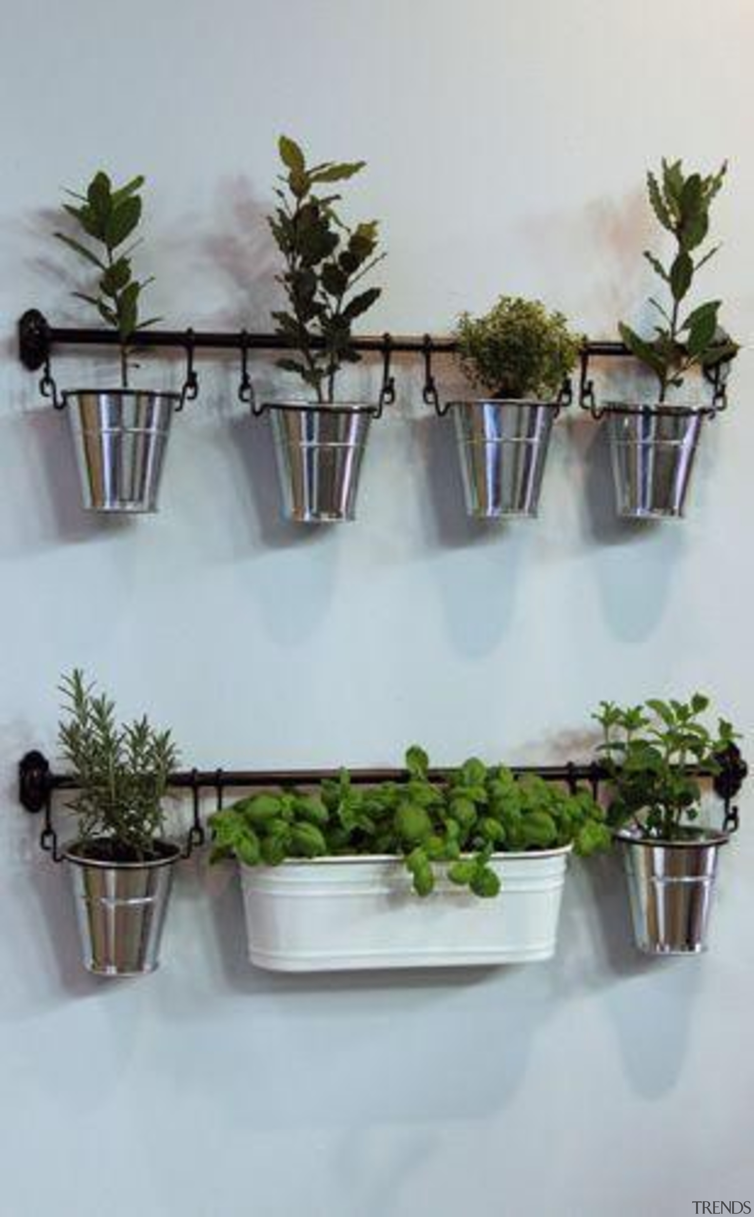 Living Wall - Vertical Garden - floristry | floristry, flowerpot, furniture, herb, plant, shelf, table, gray