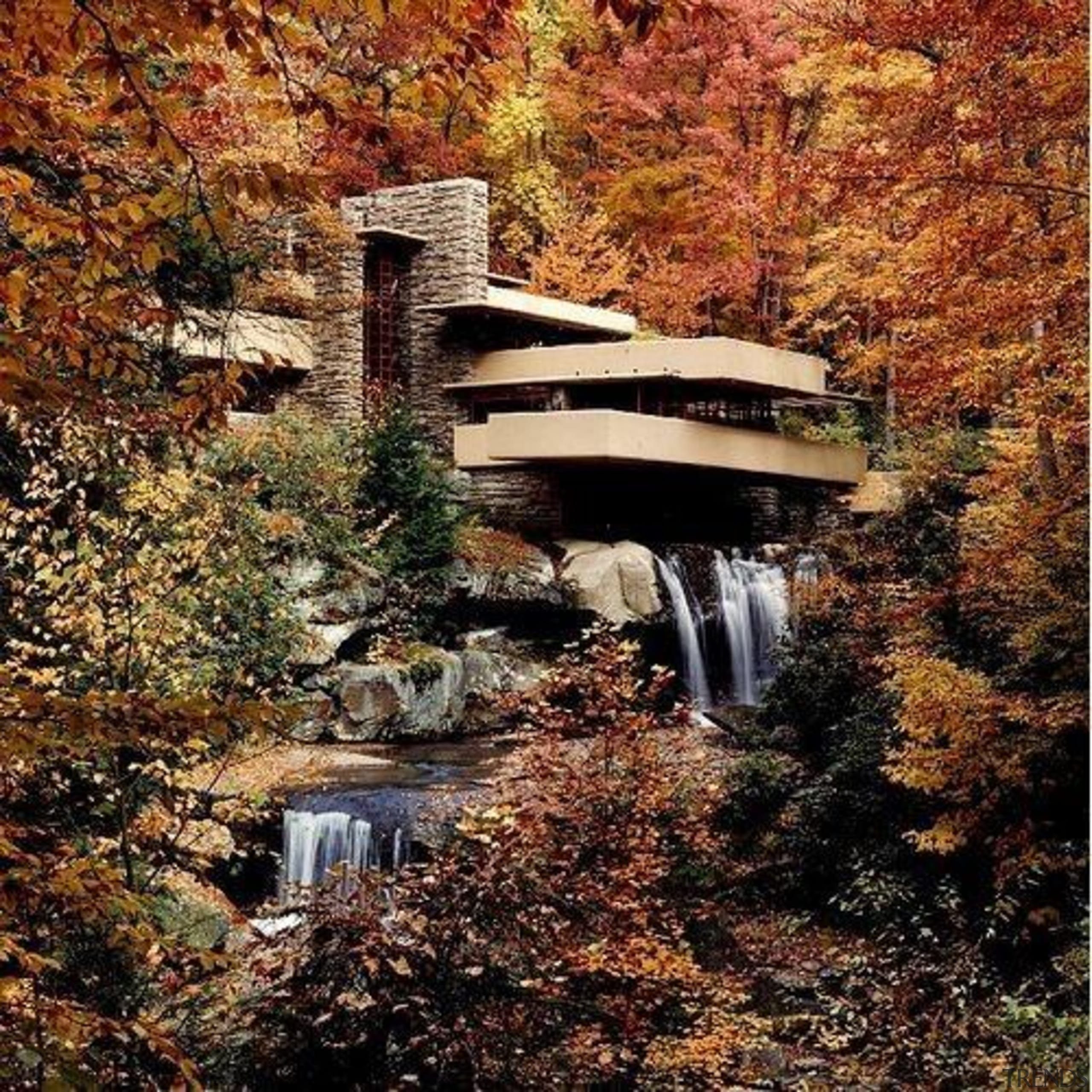 From its daring cantilevers to its corner window autumn, leaf, nature, plant, reflection, state park, tree, water, water feature, watercourse, brown