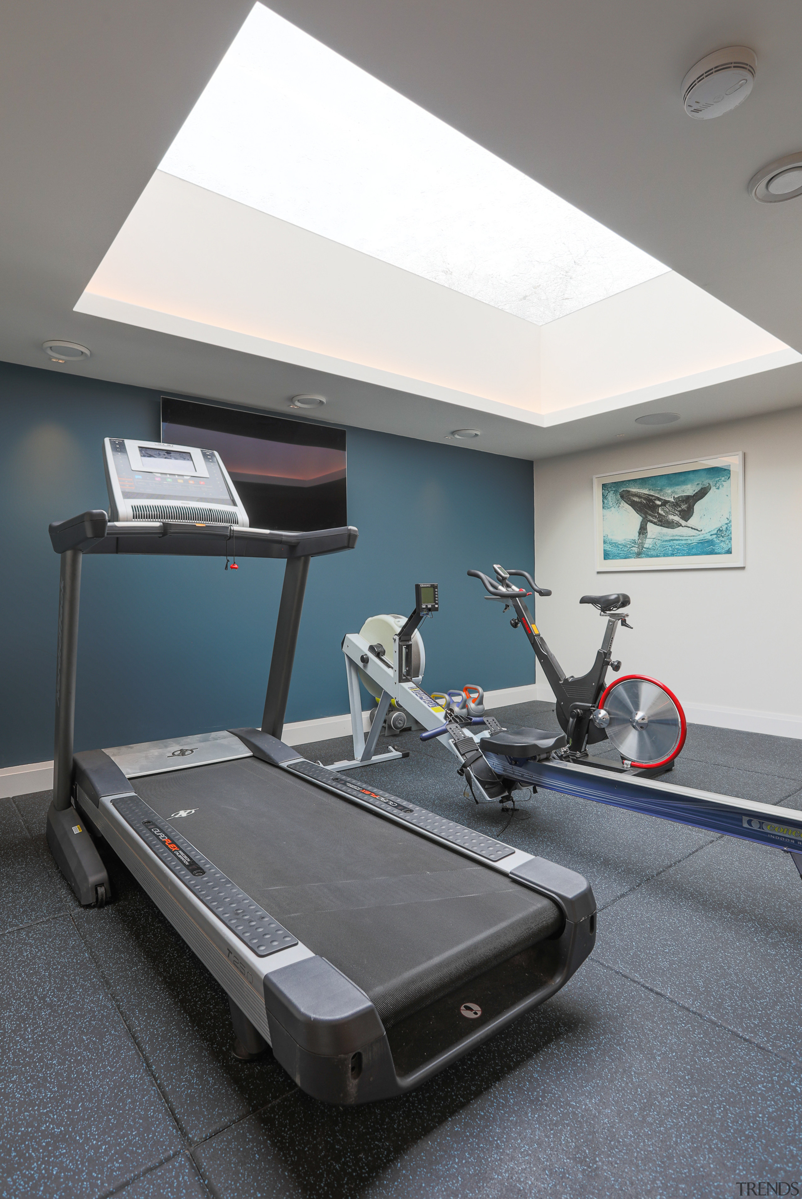 Light on your feet? The gymnasium loses the 