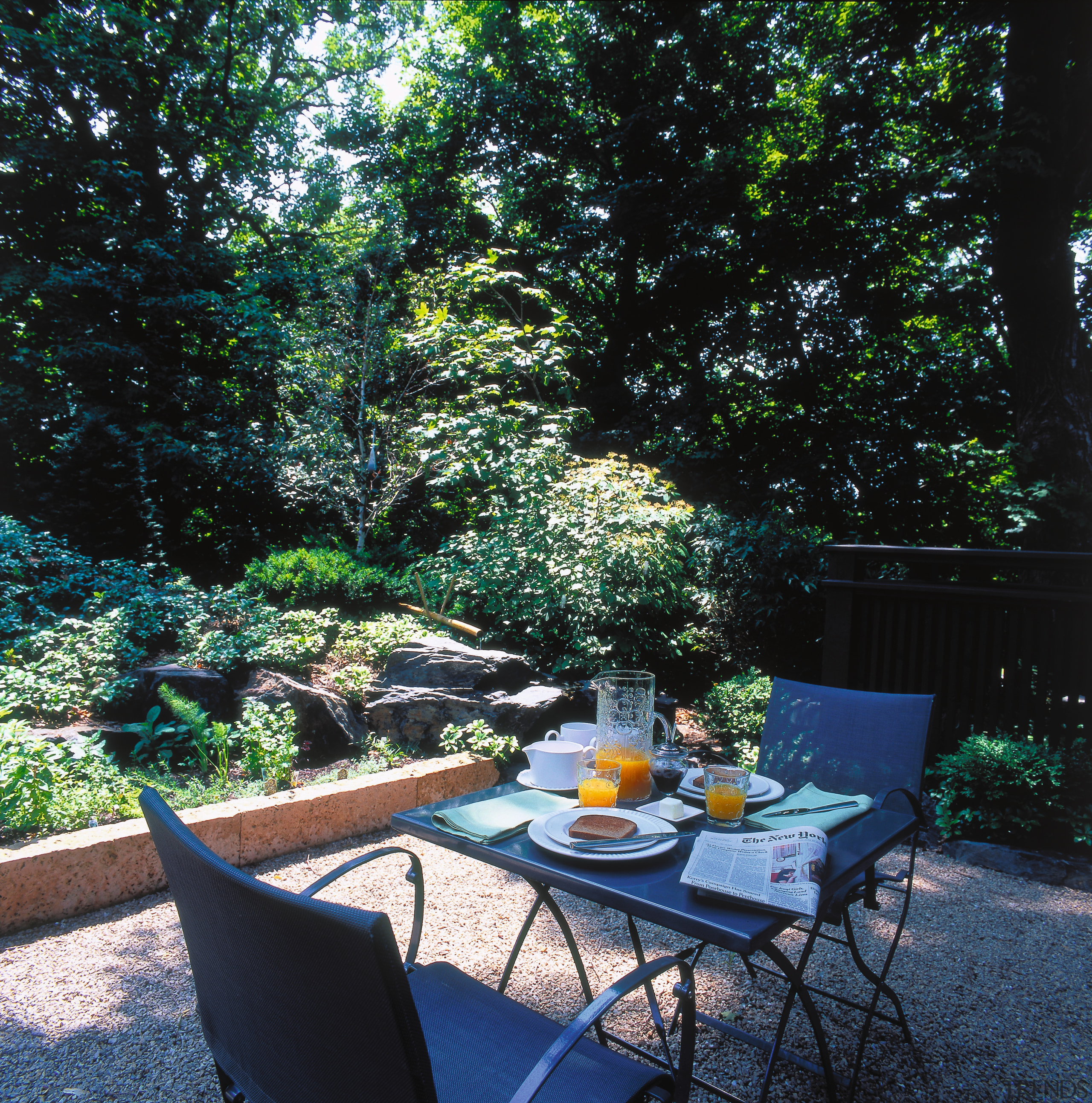 View of the outdoor living area - View backyard, garden, home, house, landscape, landscaping, outdoor structure, patio, plant, tree, yard, black