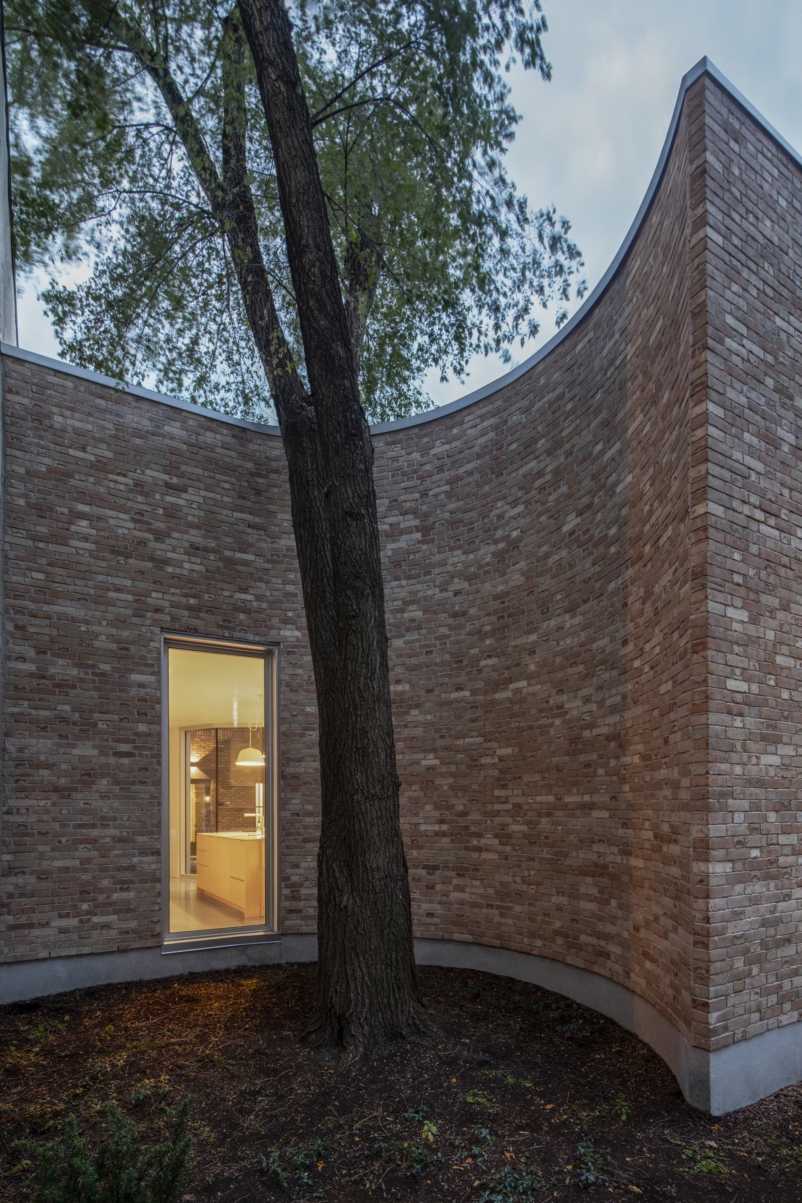 The elegantly curving facade accentuates the tree and 