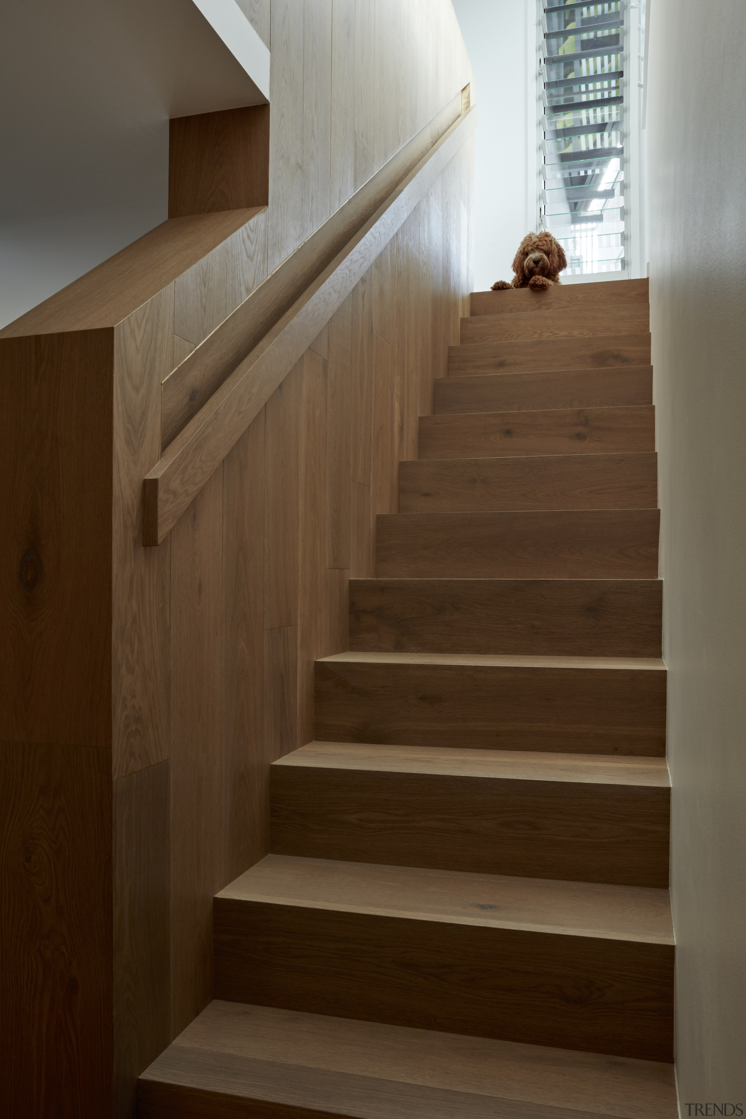 A timber stair leads up to the bedrooms. 