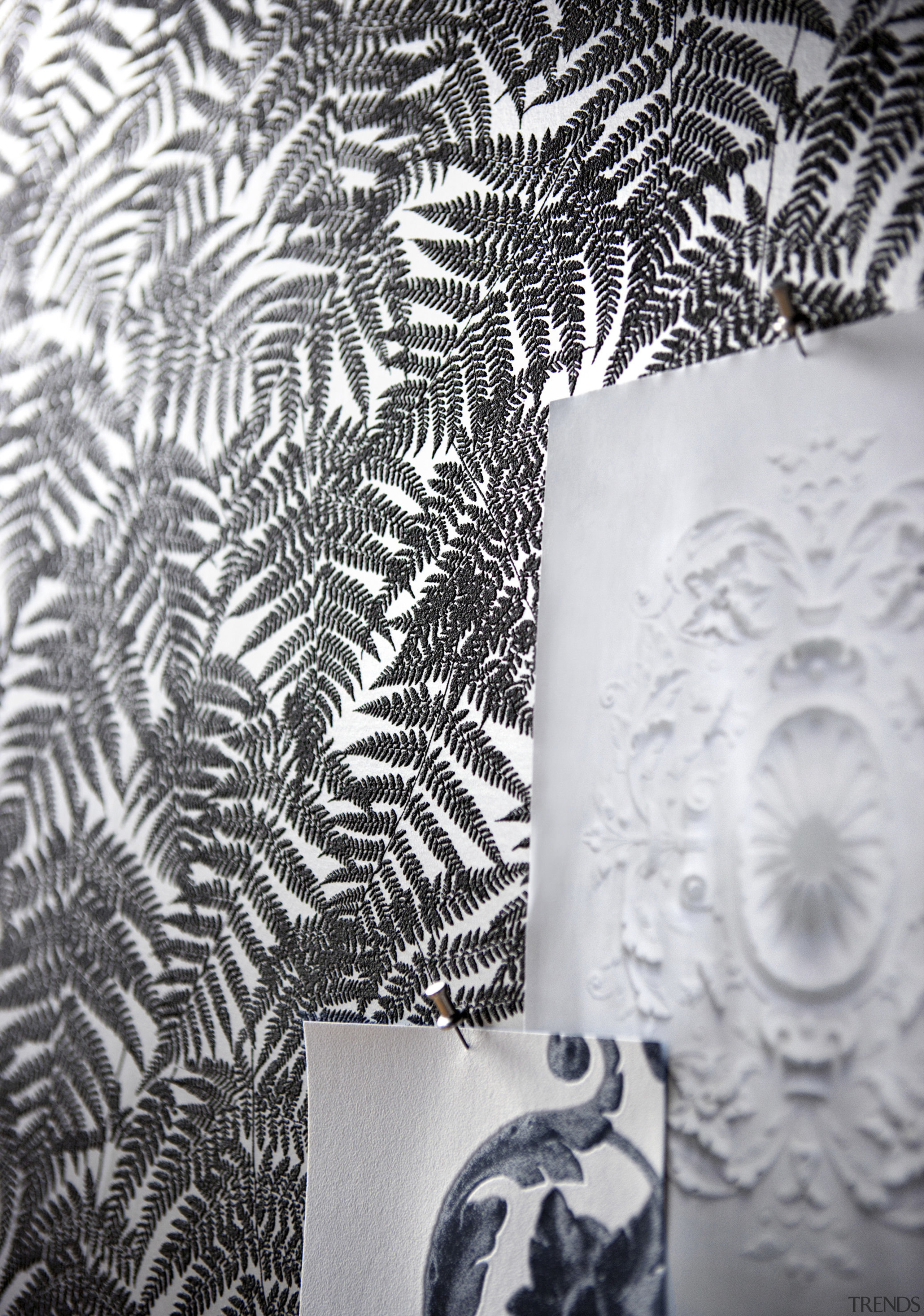 This wallpaper was supplied and designed by Pacific black, black and white, design, monochrome, monochrome photography, pattern, tree, wallpaper, white, white, gray