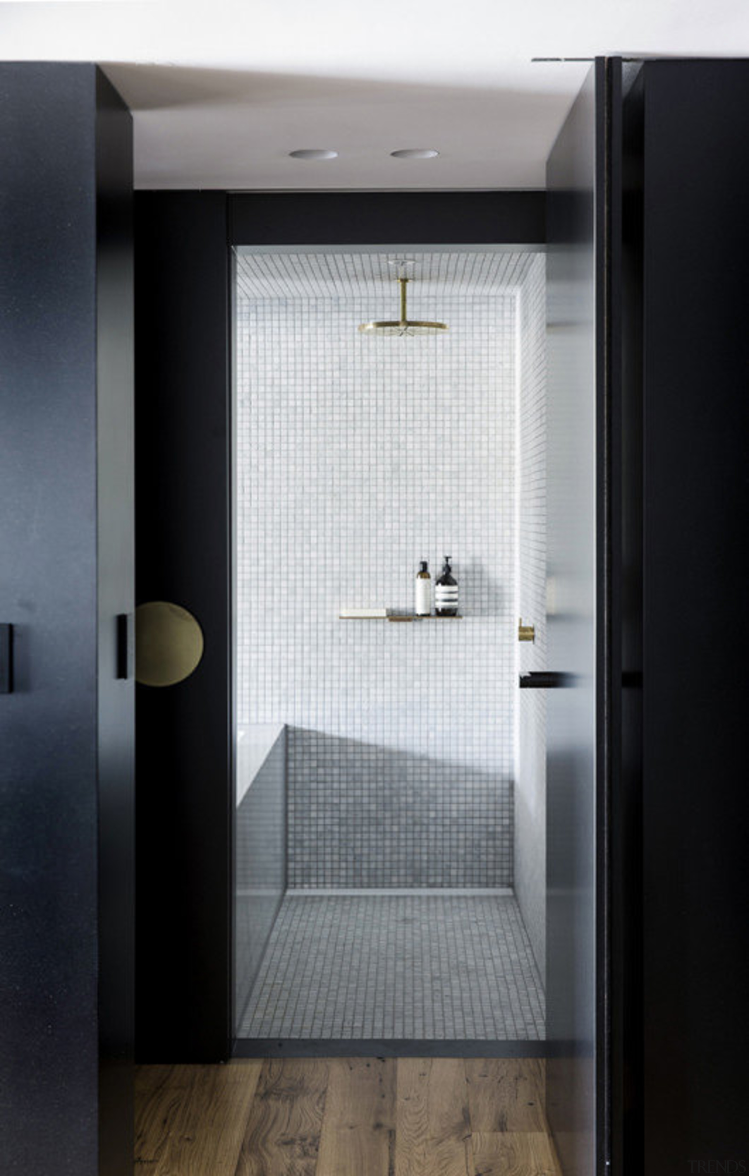 The bathing pod insert in an apartment master architecture, door, floor, glass, interior design, black
