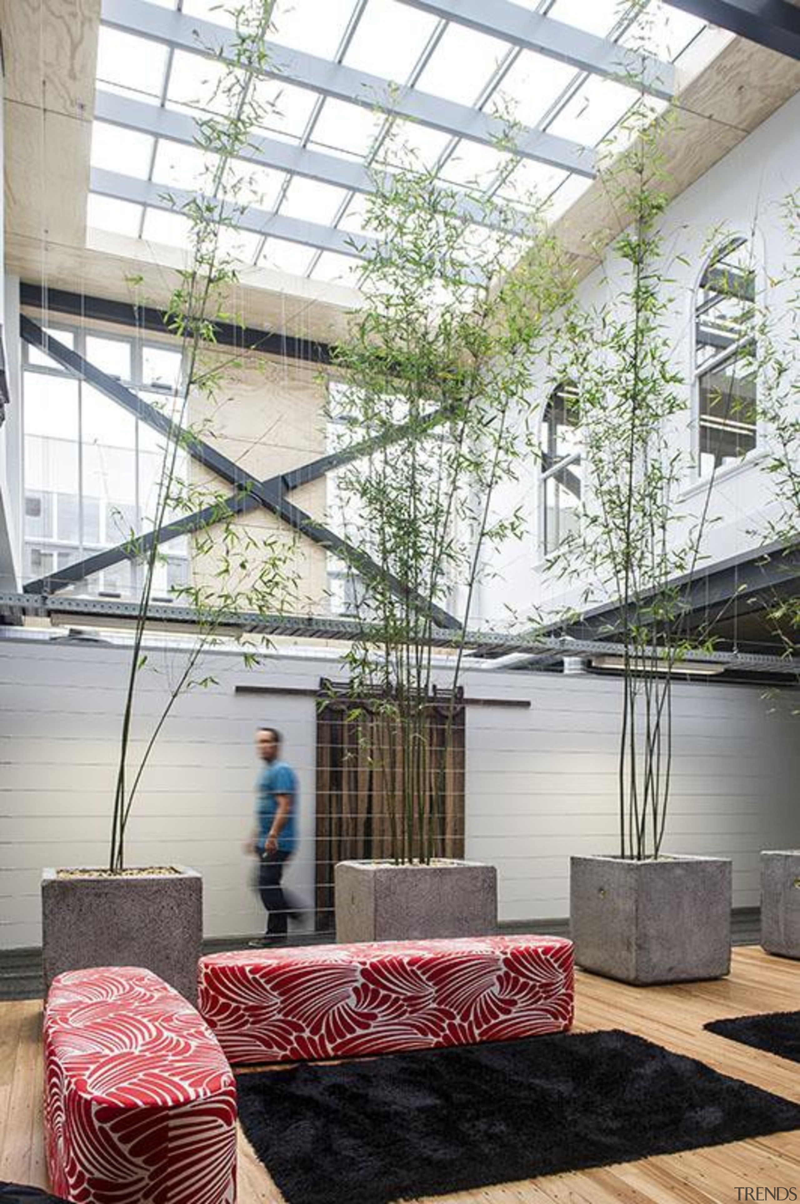 NOMINEEWaiata House (3 of 4) - Warren and architecture, ceiling, daylighting, house, interior design, lobby, window, white