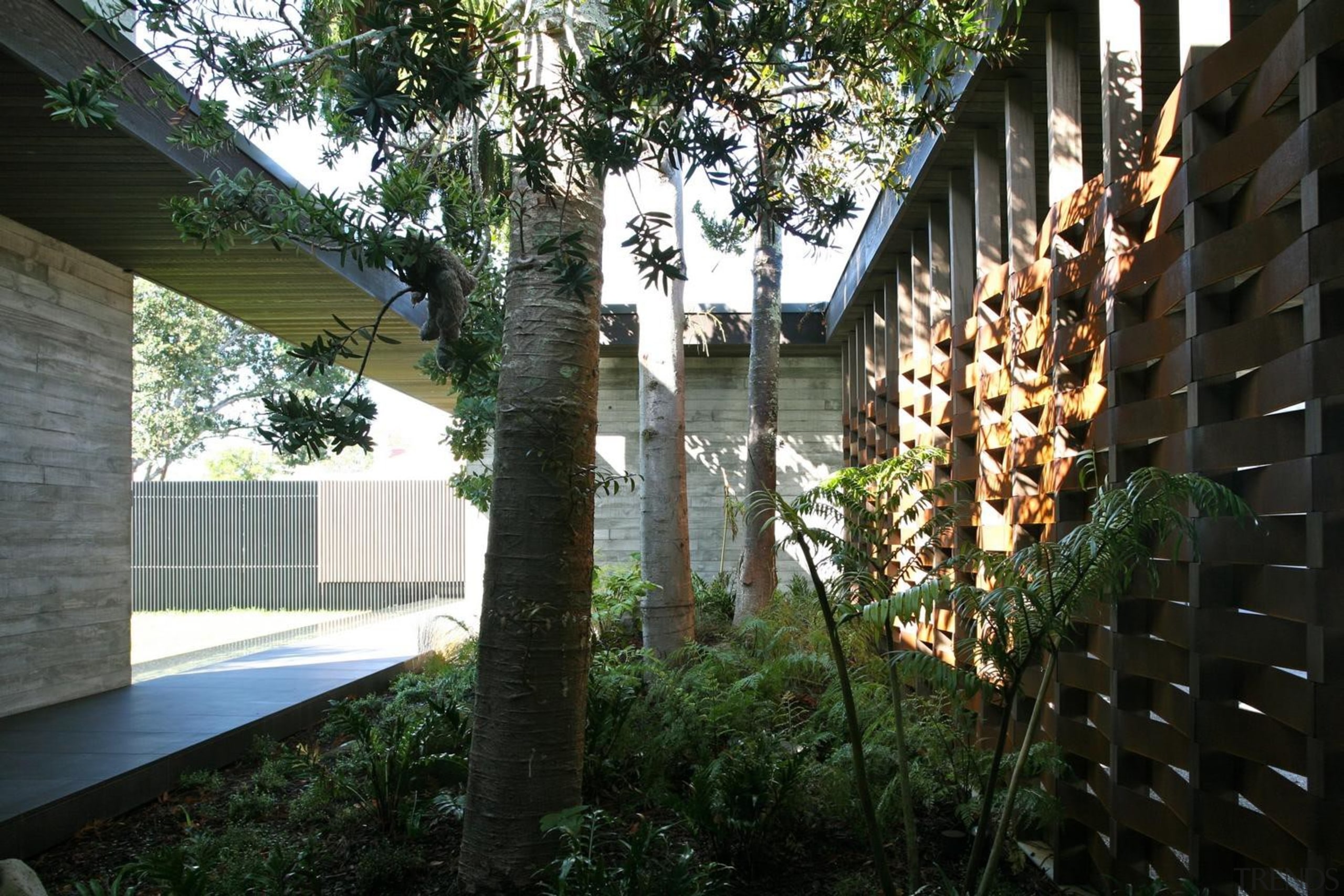 Westmere House - Westmere House - architecture | architecture, backyard, cottage, courtyard, home, house, outdoor structure, plant, property, real estate, tree, yard, black