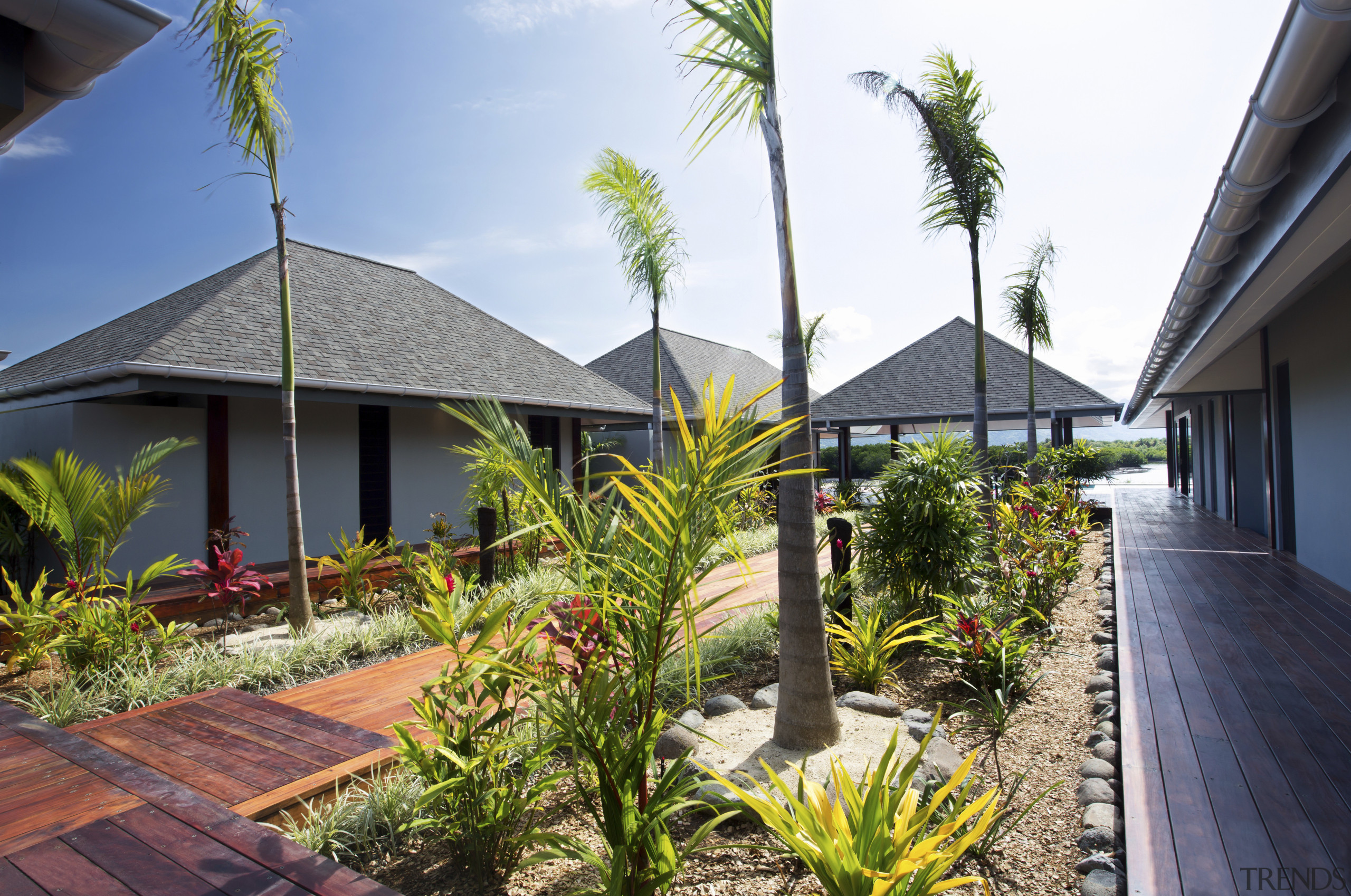 Under tropical skies  Marley Magnum spouting and arecales, cottage, estate, home, house, palm tree, property, real estate, resort, villa