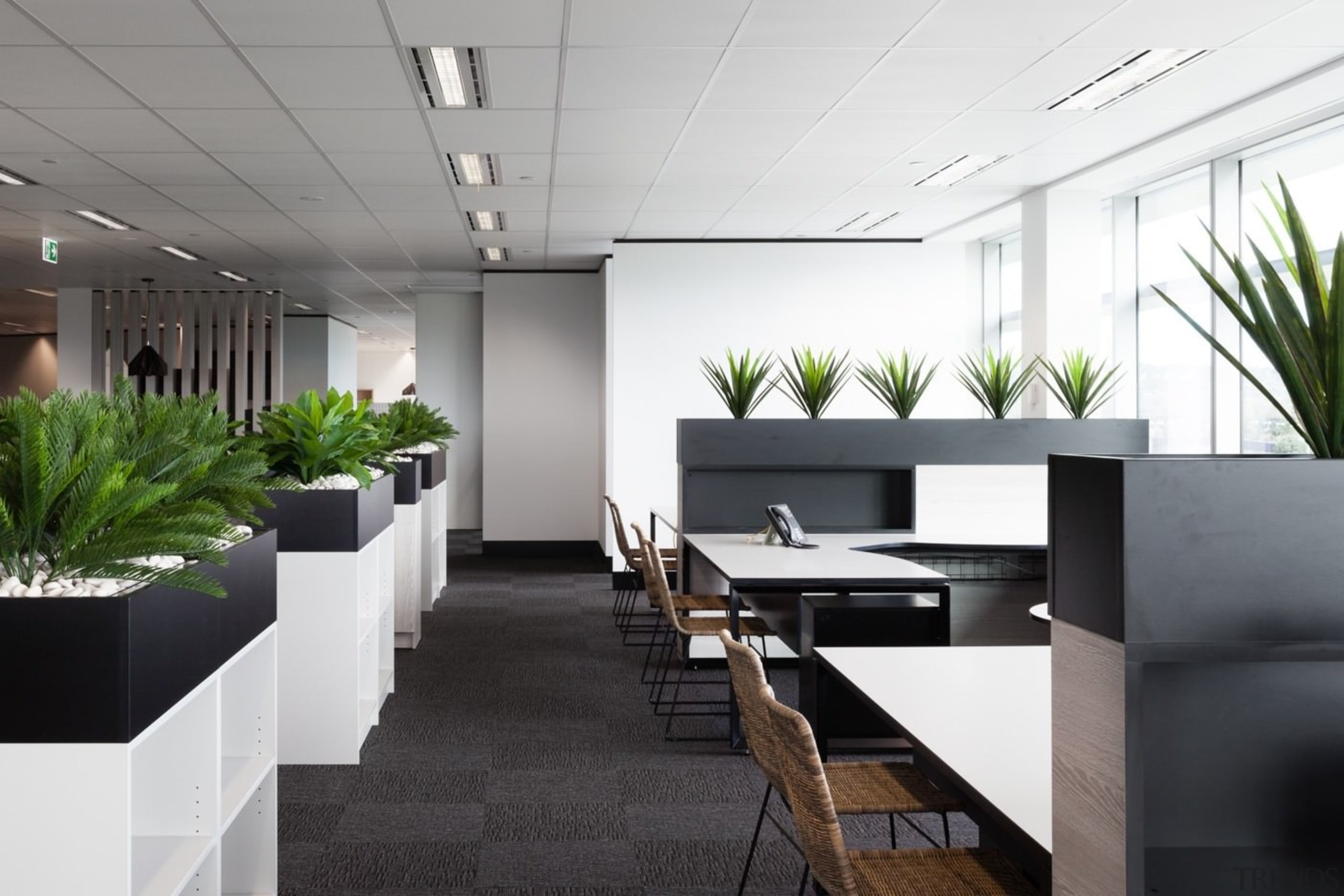 Austbrokers Countrywide – New office designed by A1 conference hall, interior design, office, white, black