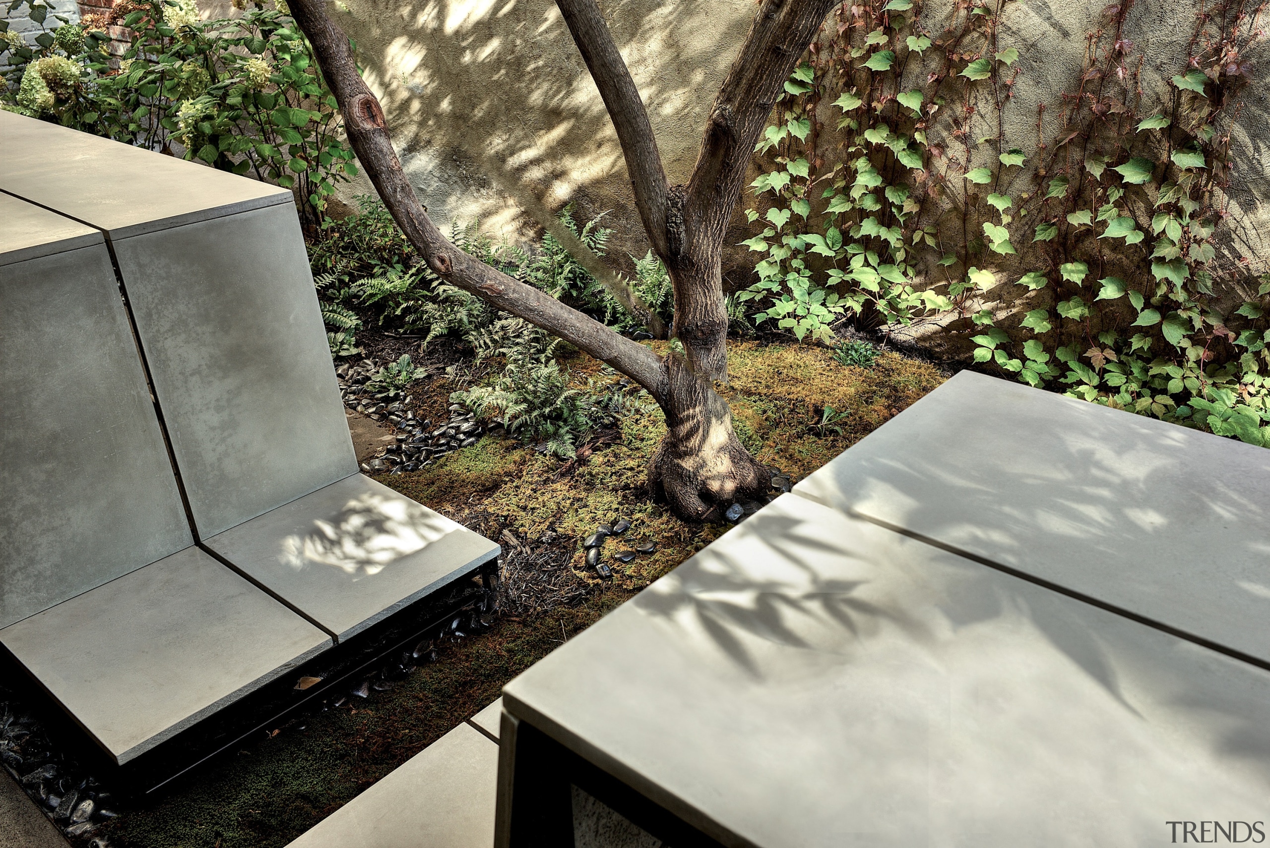 As Ductal concrete can also be tinted, the architecture, botany, furniture, grass, leaf, material property, plant, table, tree, trunk, woody plant, gray