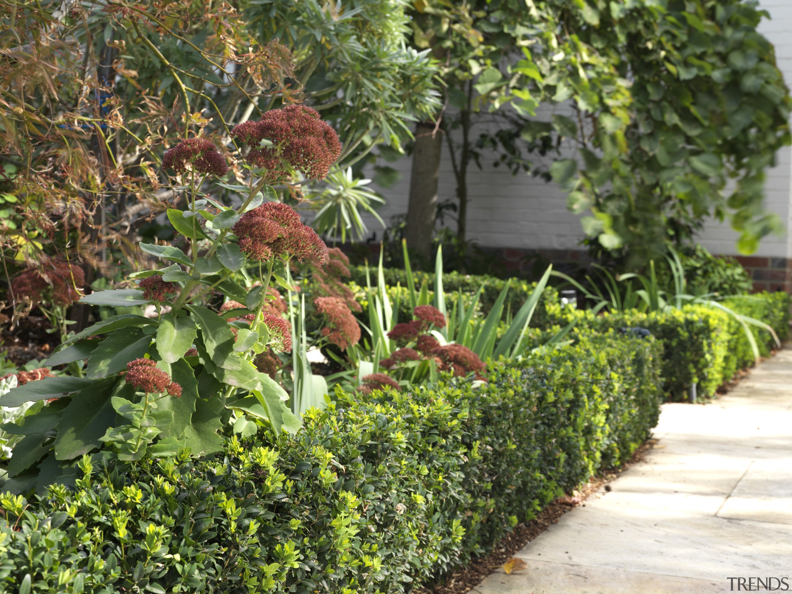 View of a landscaped garden which features a botanical garden, garden, grass, leaf, plant, shrub, tree, green, brown