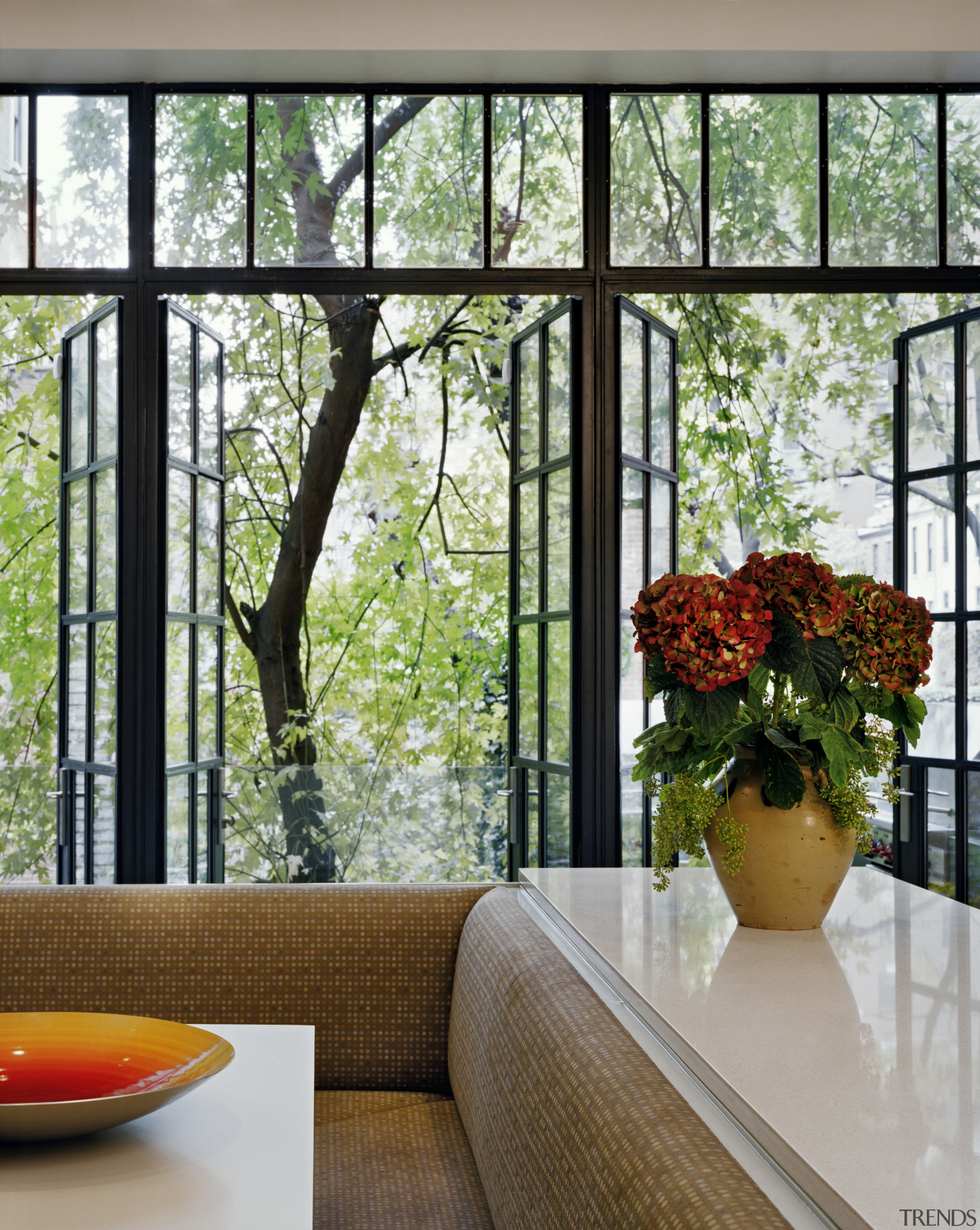 View of contemporary kitchen - View of contemporary home, house, interior design, plant, window