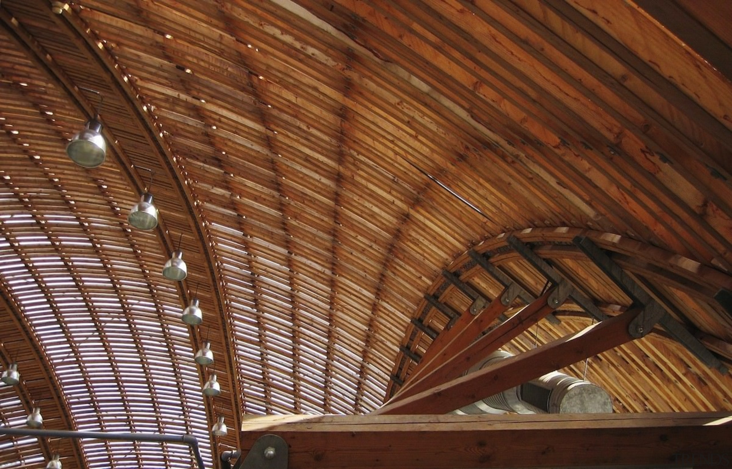 Forestry Branch – Marche-en-Famenne - Forestry Branch – attic, beam, ceiling, daylighting, roof, wood, wood stain, brown