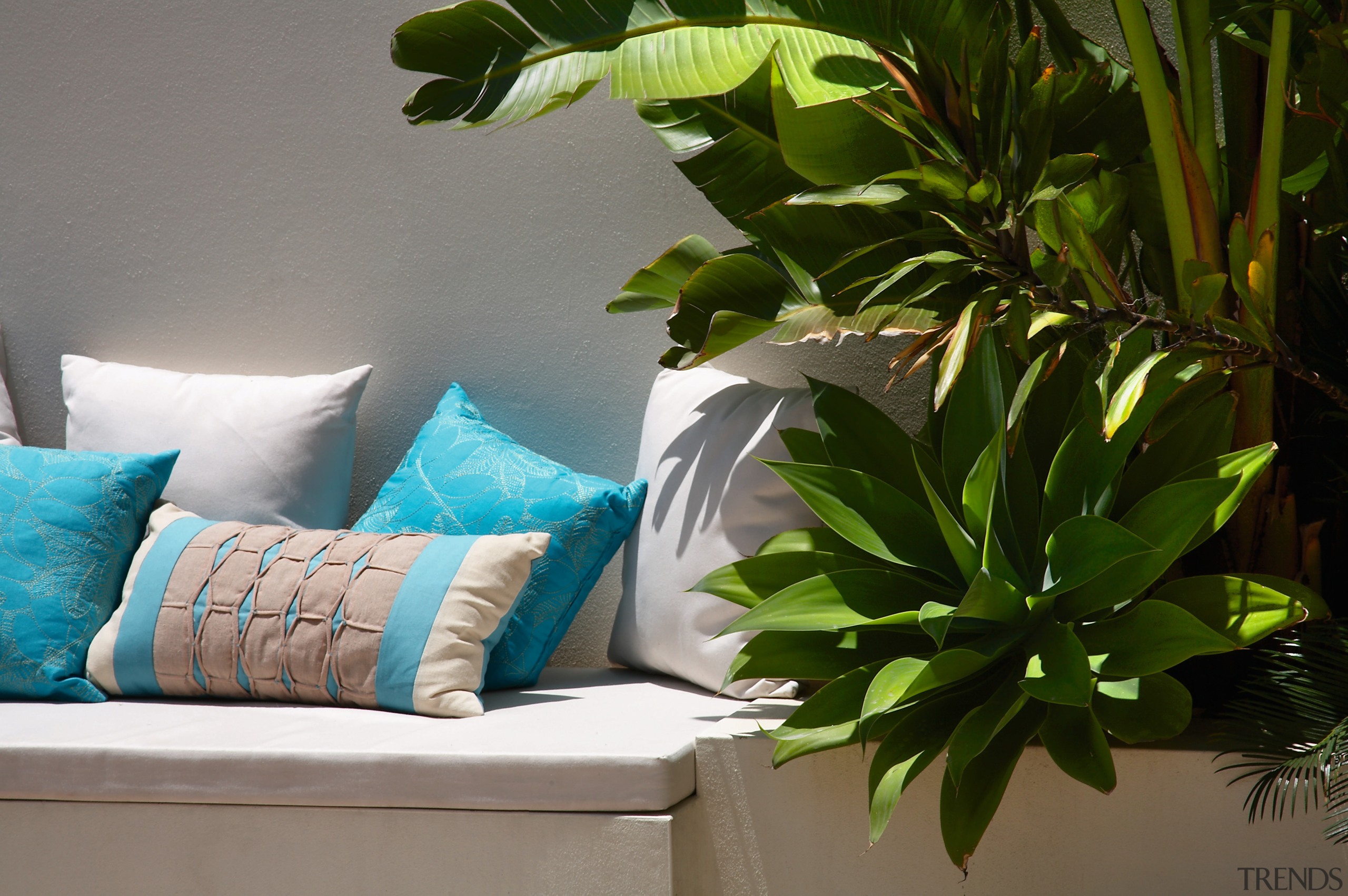 view of  the outdoor couch nestled against green, houseplant, interior design, leaf, plant, brown, gray