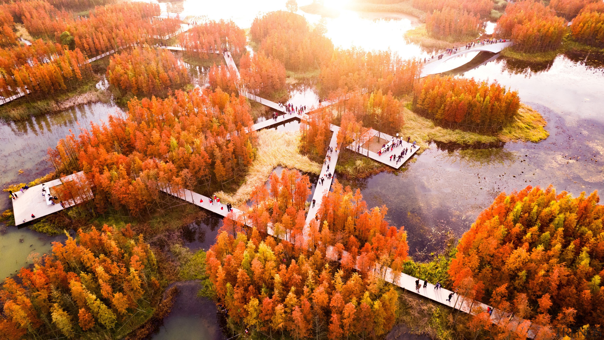 A network of boardwalk and platforms offers visitors 