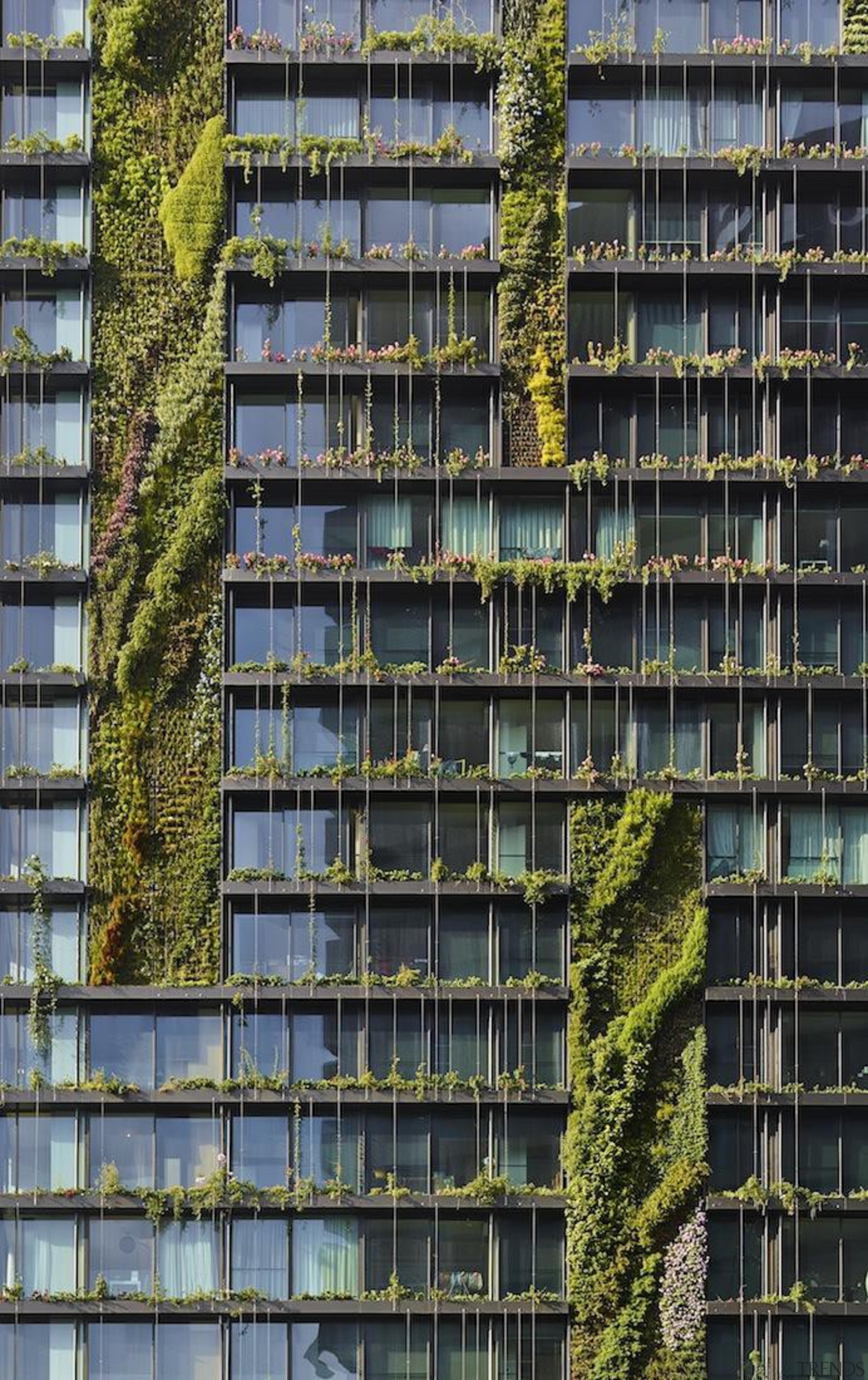 The Council on Tall Buildings and Urban Habitat apartment, architecture, building, condominium, facade, house, line, metropolis, metropolitan area, residential area, skyscraper, tower block, tree, urban area, window, black, gray