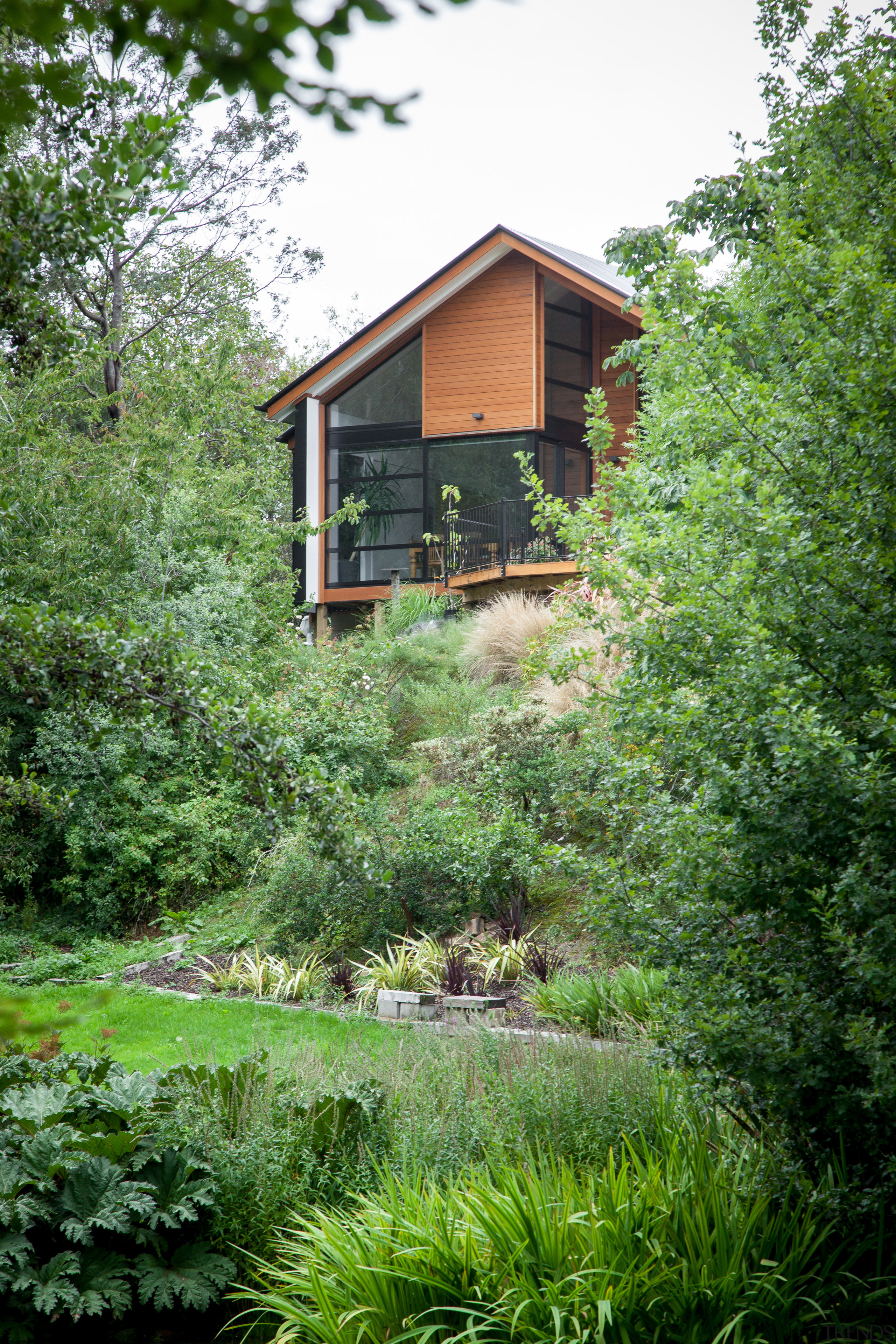 The cedar cladding stands out while the black backyard, cottage, garden, grass, home, house, landscape, plant, real estate, tree, vegetation, yard, green