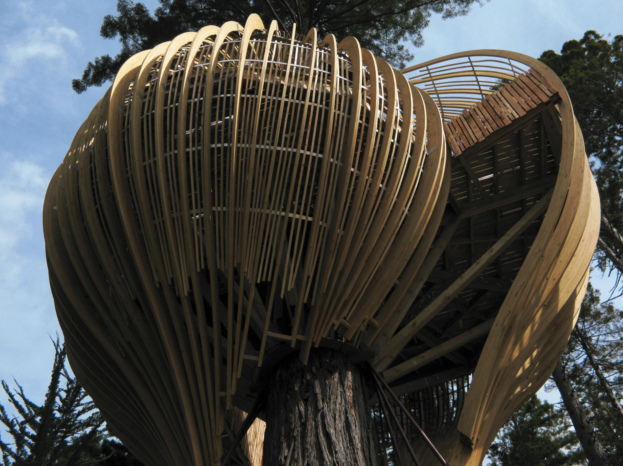 Image of the Yellow Treehouse restaurant which has building, sky, tree, wood, black