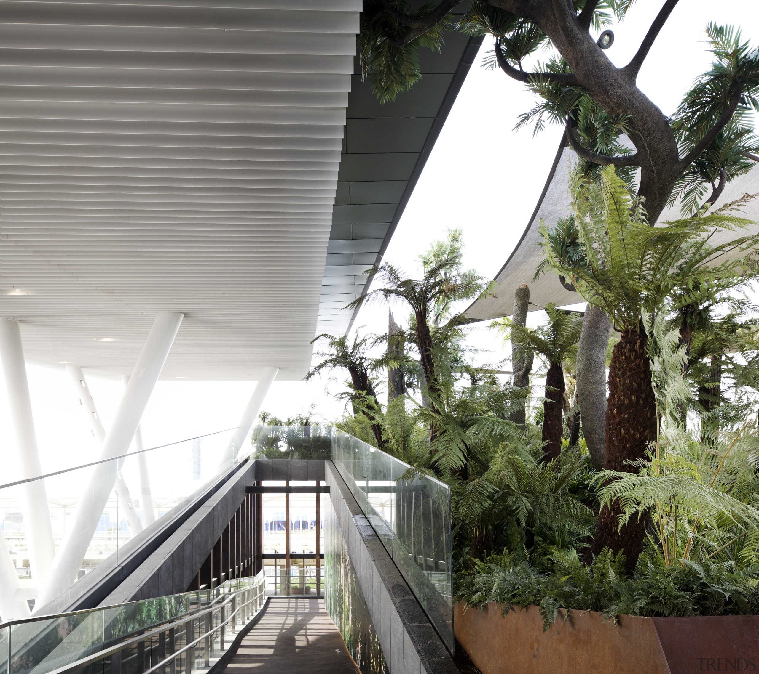 New Zealand Pavilion, Shanghai World Expo, China - architecture, arecales, building, daylighting, home, house, palm tree, plant, real estate, roof, tree, white, gray