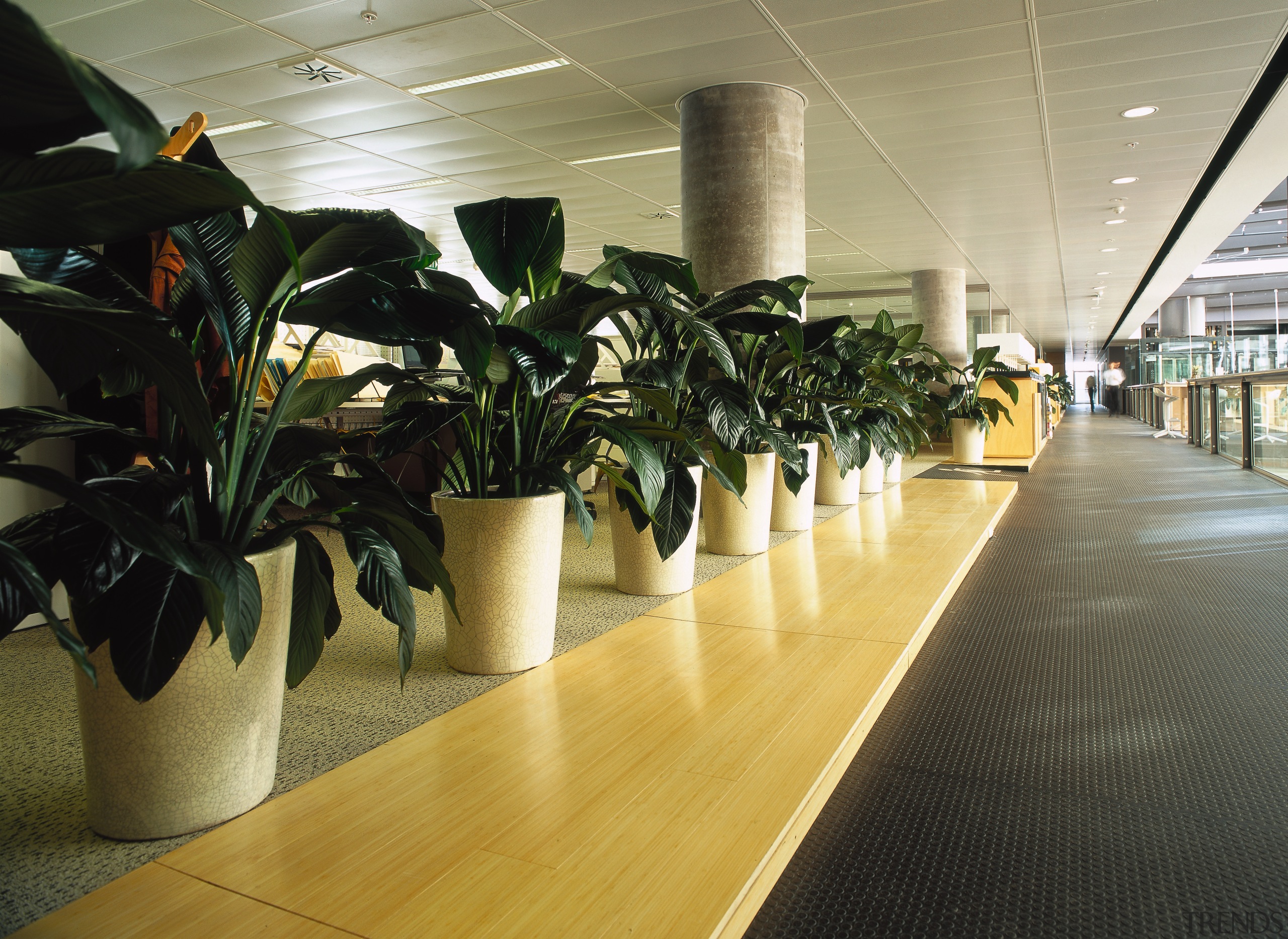 View of walk way area - View of floor, flooring, plant, brown