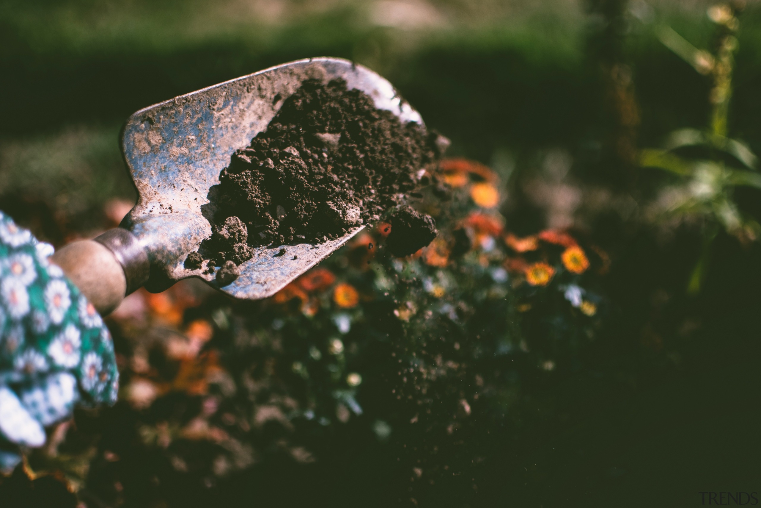 One of the first jobs for your winter close-up, grass, green, hand, leaf, macro photography, photography, plant, reflection, rock, soil, spring, sunlight, tree, water, brown