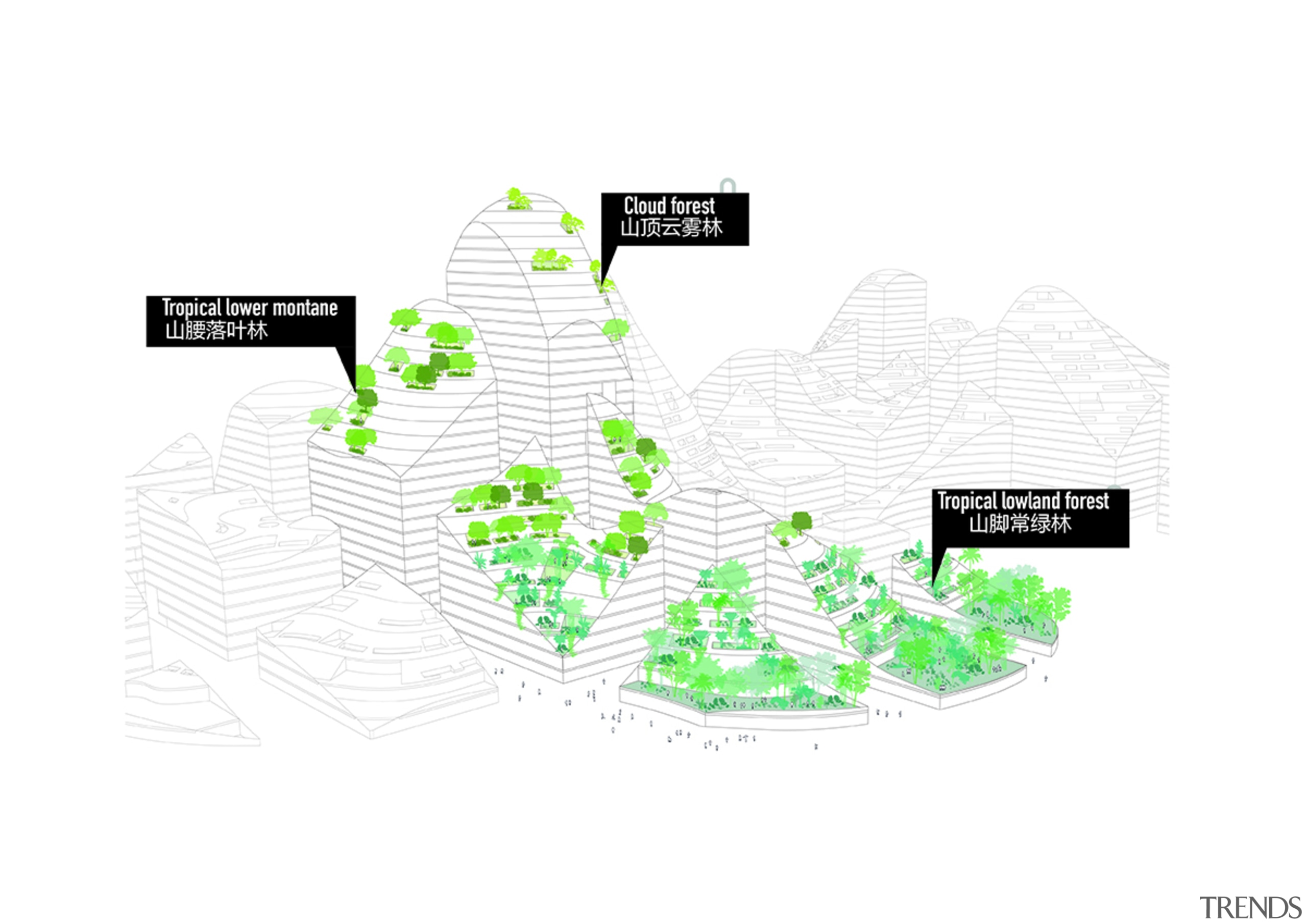 This diagram shows the merger of Tencent headquarters white