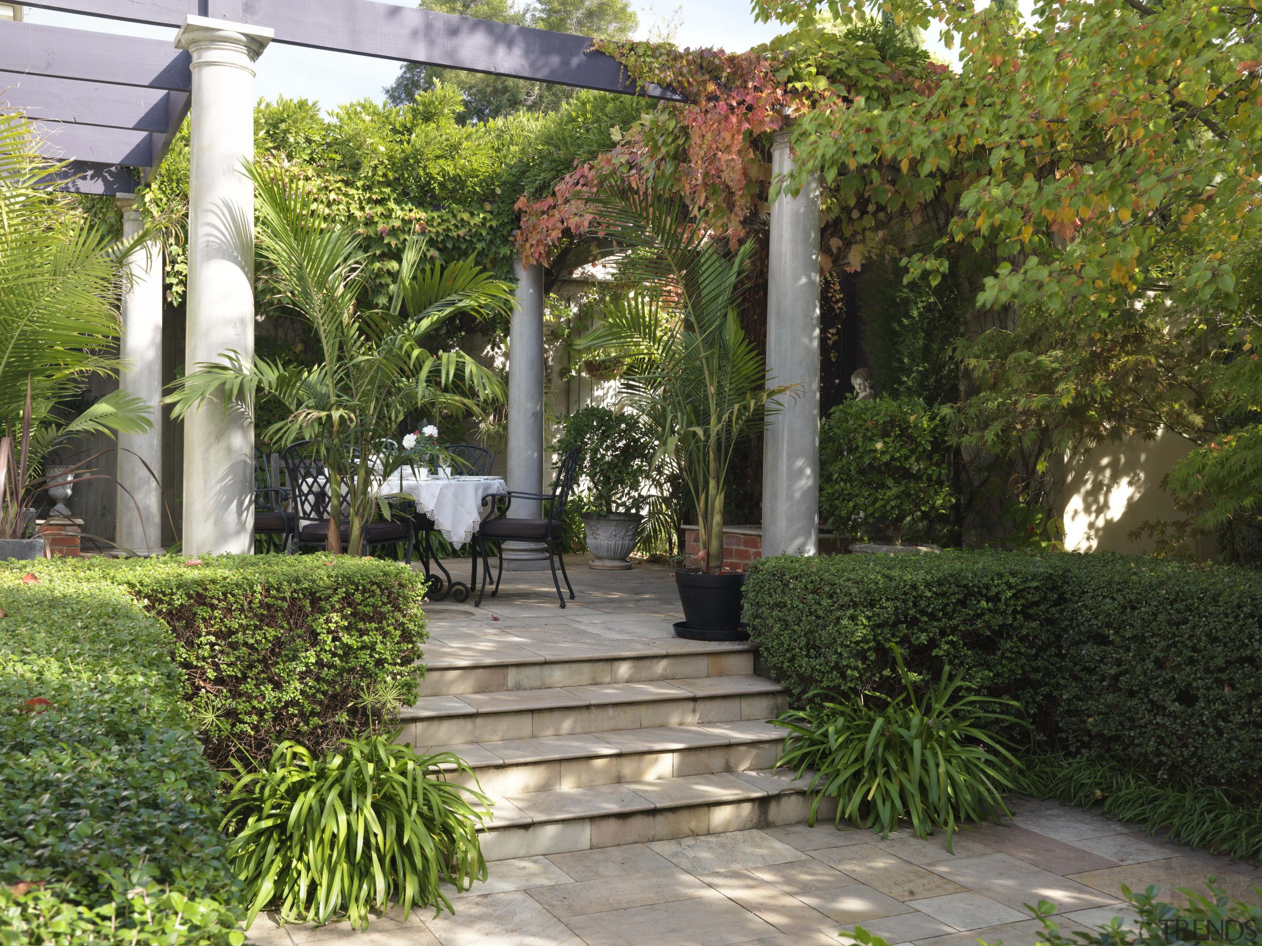 View of the paved terrace with timber pergola backyard, courtyard, estate, garden, grass, home, landscape, landscaping, outdoor structure, plant, property, real estate, shrub, walkway, yard, brown