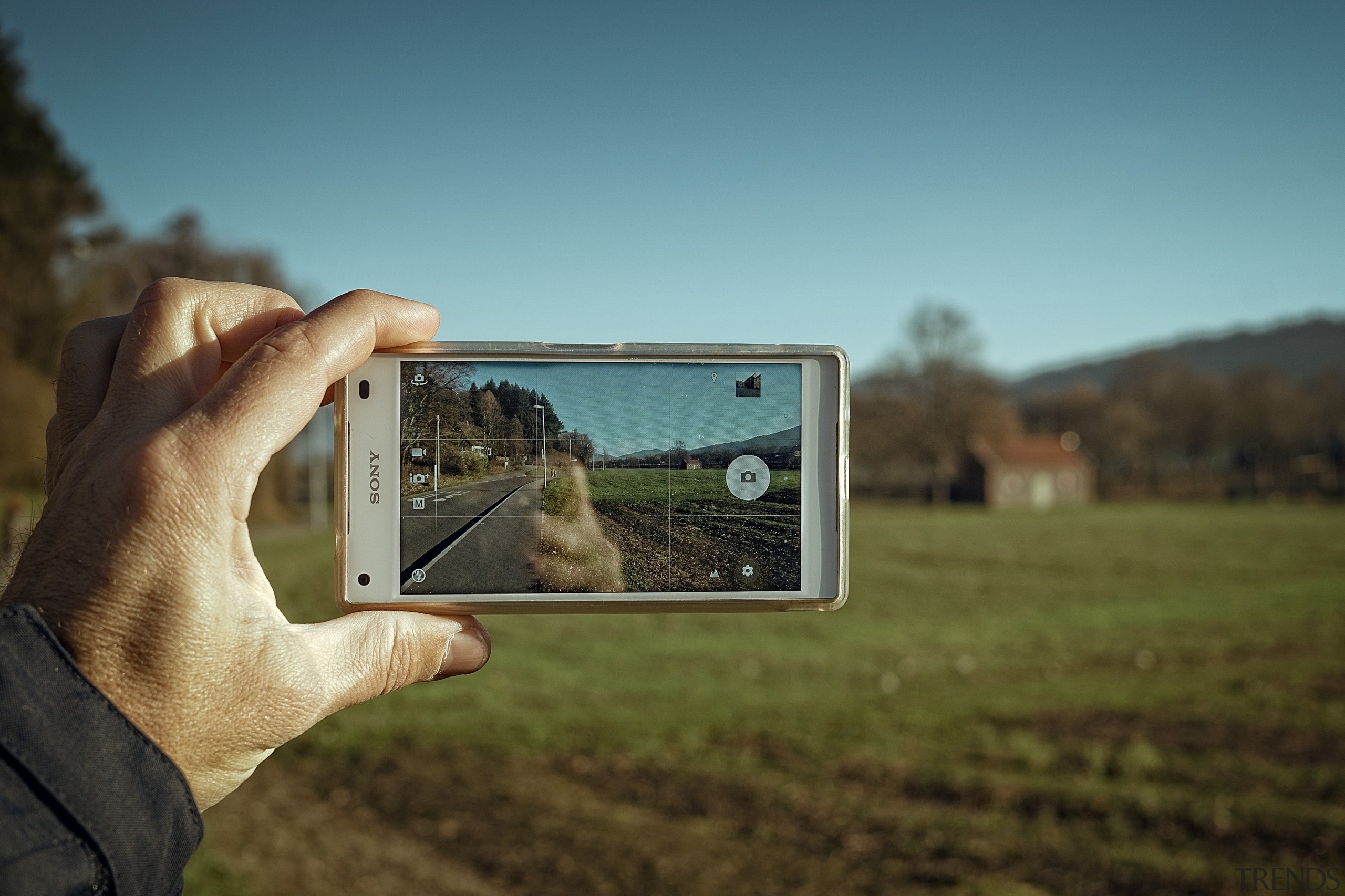 Augmented reality could make it much easier to ecosystem, grass, hand, photography, sky, tree, brown, teal