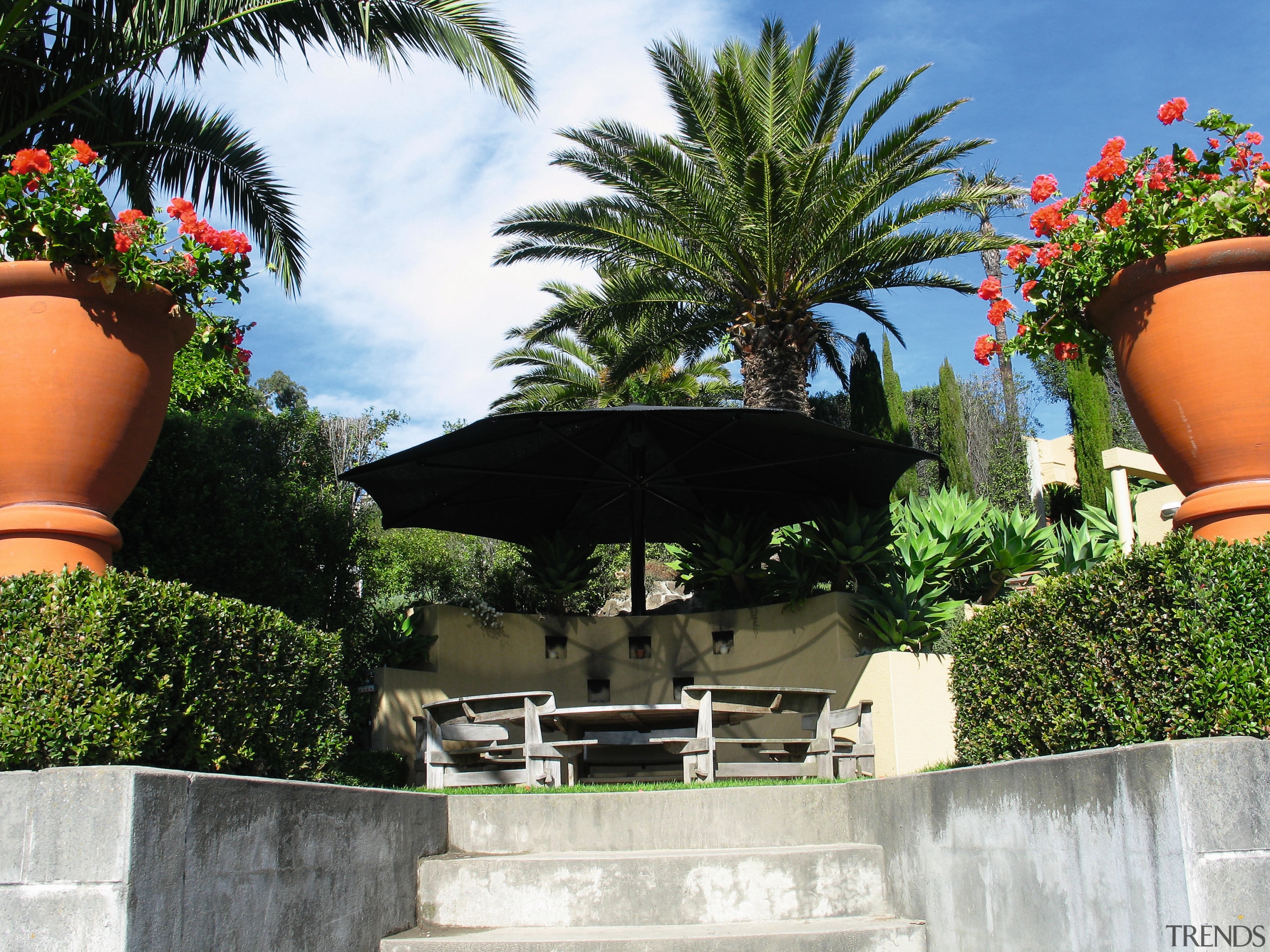 A view of a sail umbrella by Weather arecales, outdoor structure, palm tree, plant, real estate, tree, white