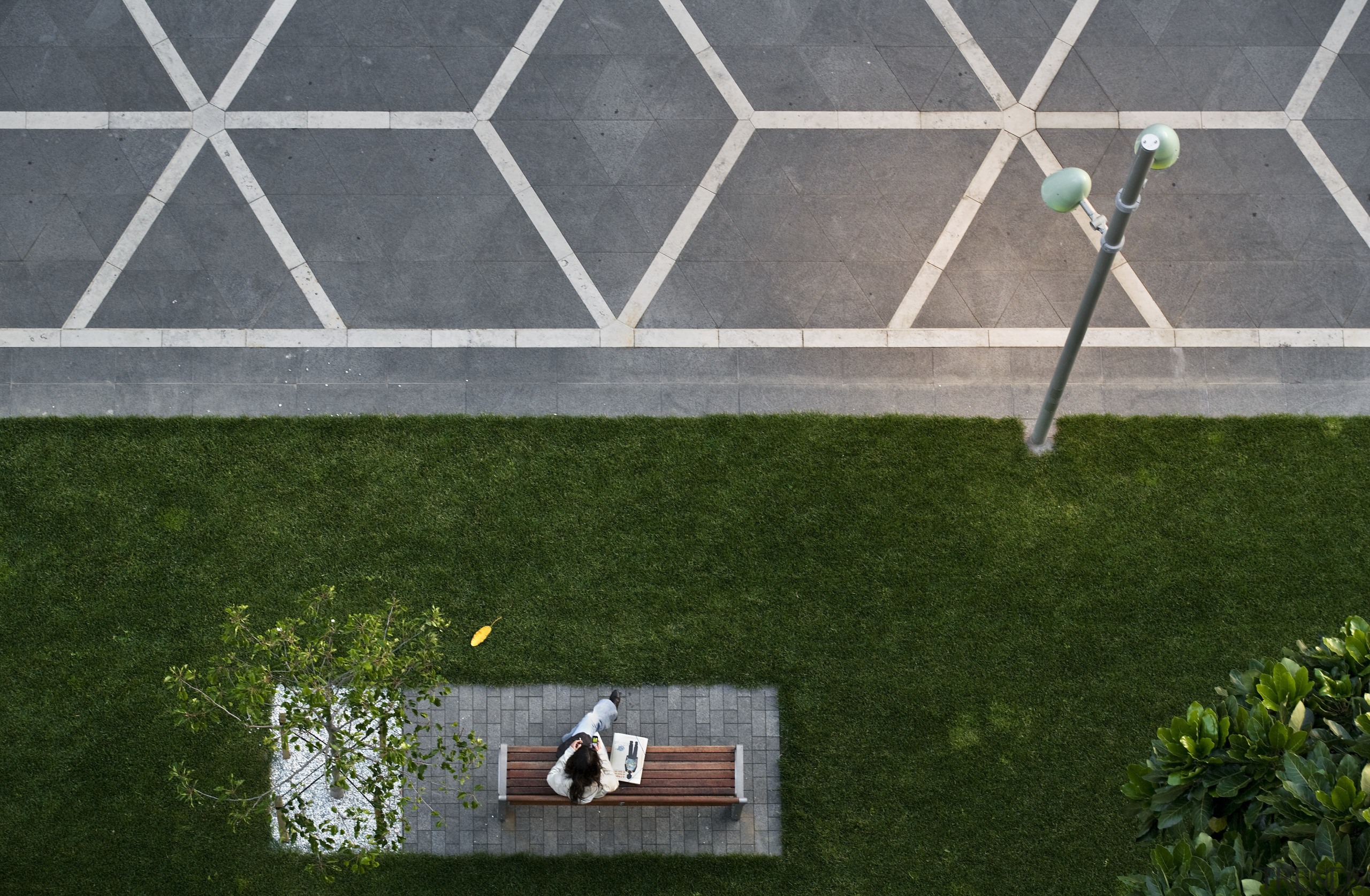 View of St Patrick's square featuring landscaping, paving, backyard, grass, green, house, lawn, line, plant, roof, yard, gray, green