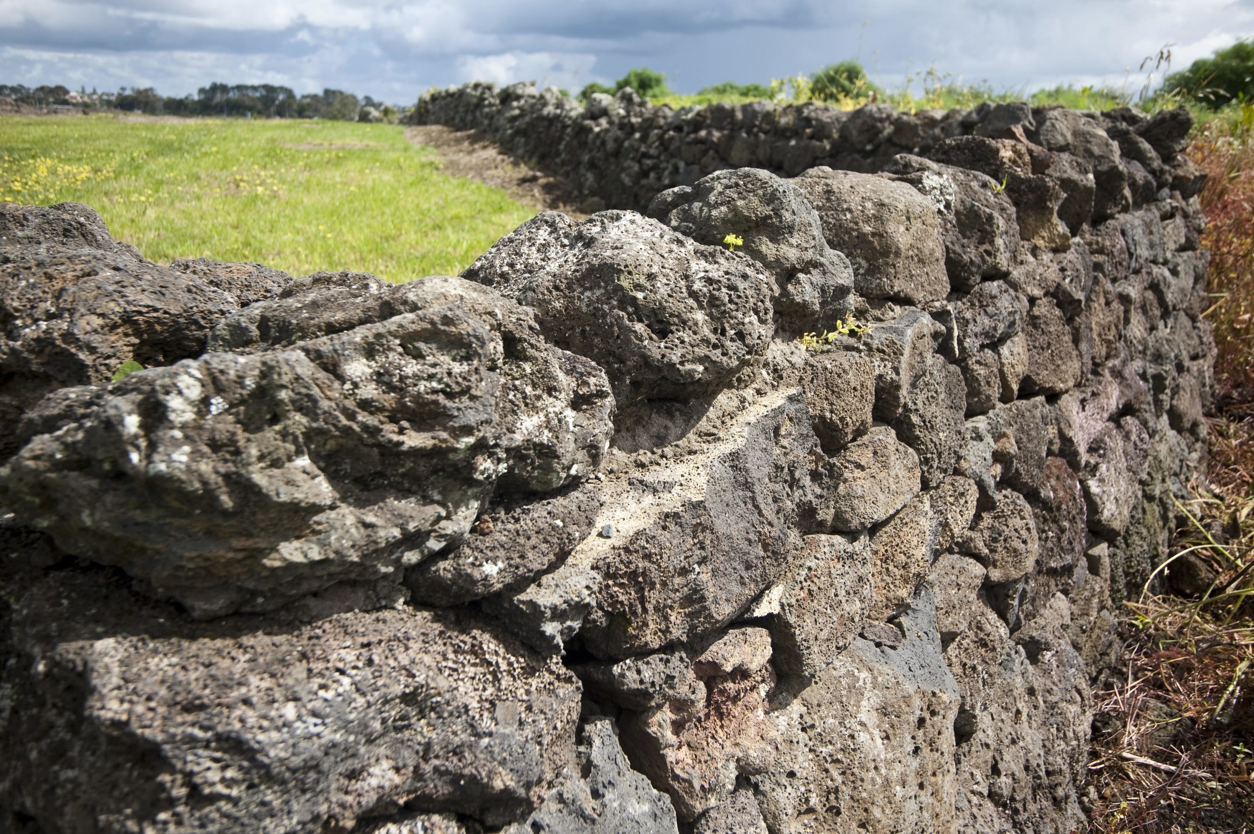 View of Mt Wellington stone walls. - View bedrock, geology, grass, outcrop, rock, soil, stone wall, gray, black