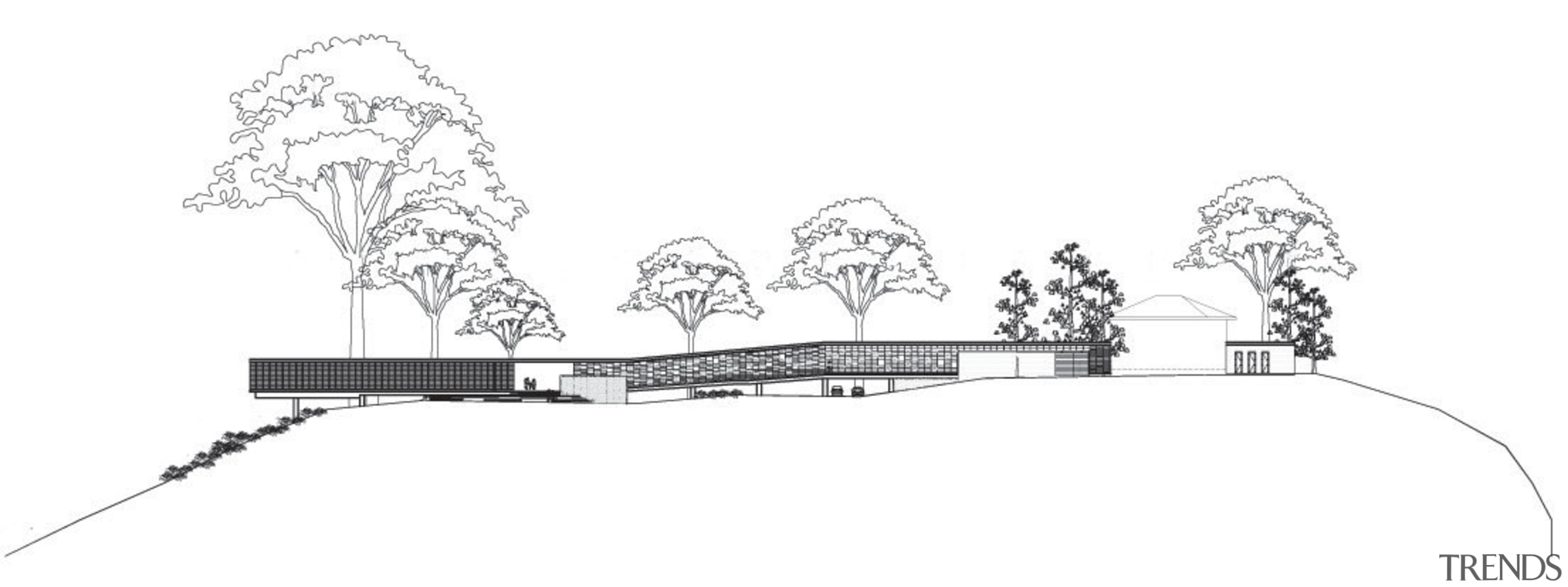 view of the side elevation of the boh angle, black and white, design, drawing, font, line, line art, monochrome, plant, product design, sketch, tree, white