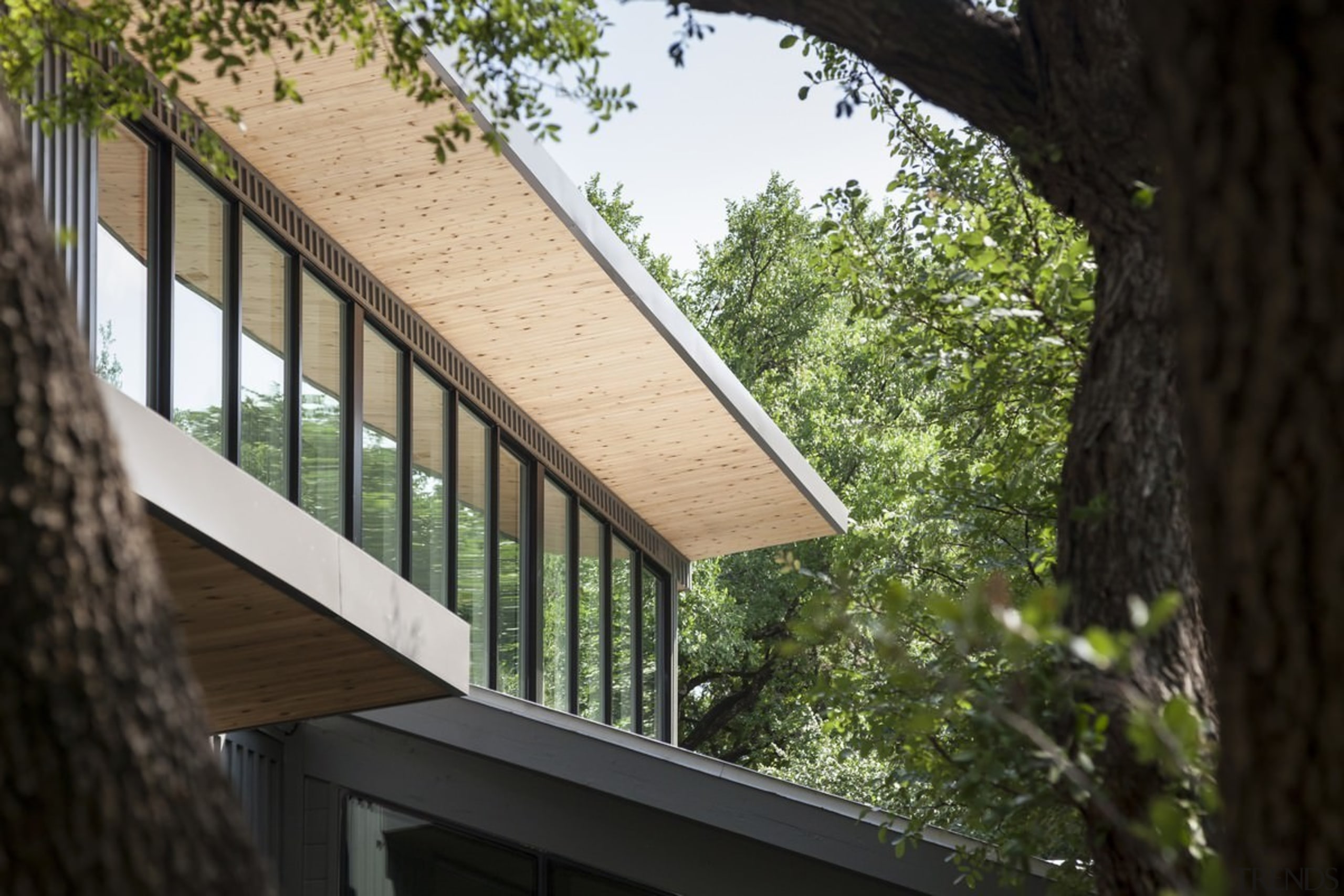 Views out to the trees - Views out architecture, building, daylighting, facade, home, house, property, real estate, siding, tree, window, black