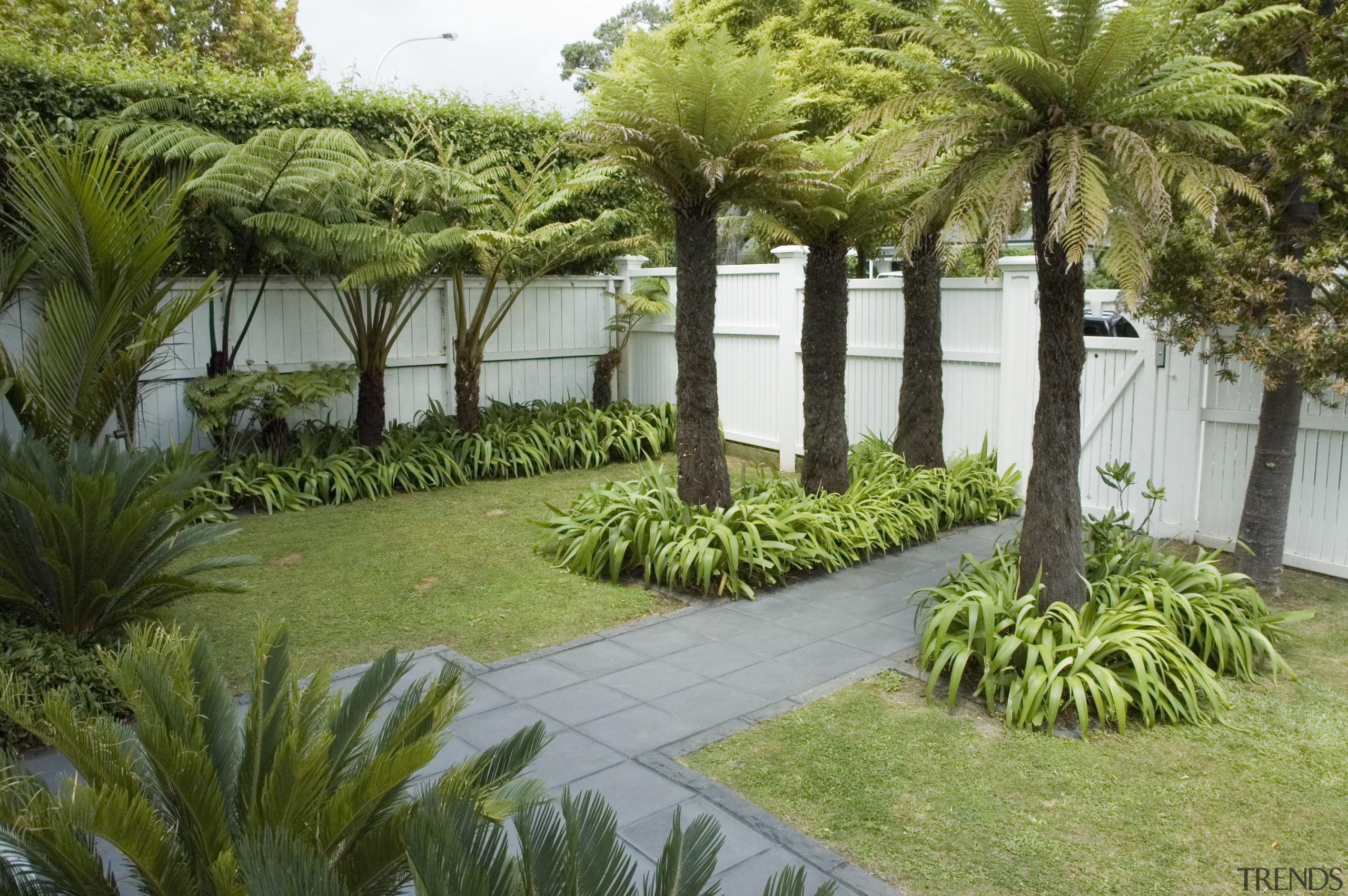 A view of a garden with lighting which arecales, backyard, estate, garden, grass, landscape, landscaping, lawn, outdoor structure, palm tree, plant, property, real estate, tree, vegetation, walkway, yard, brown, green
