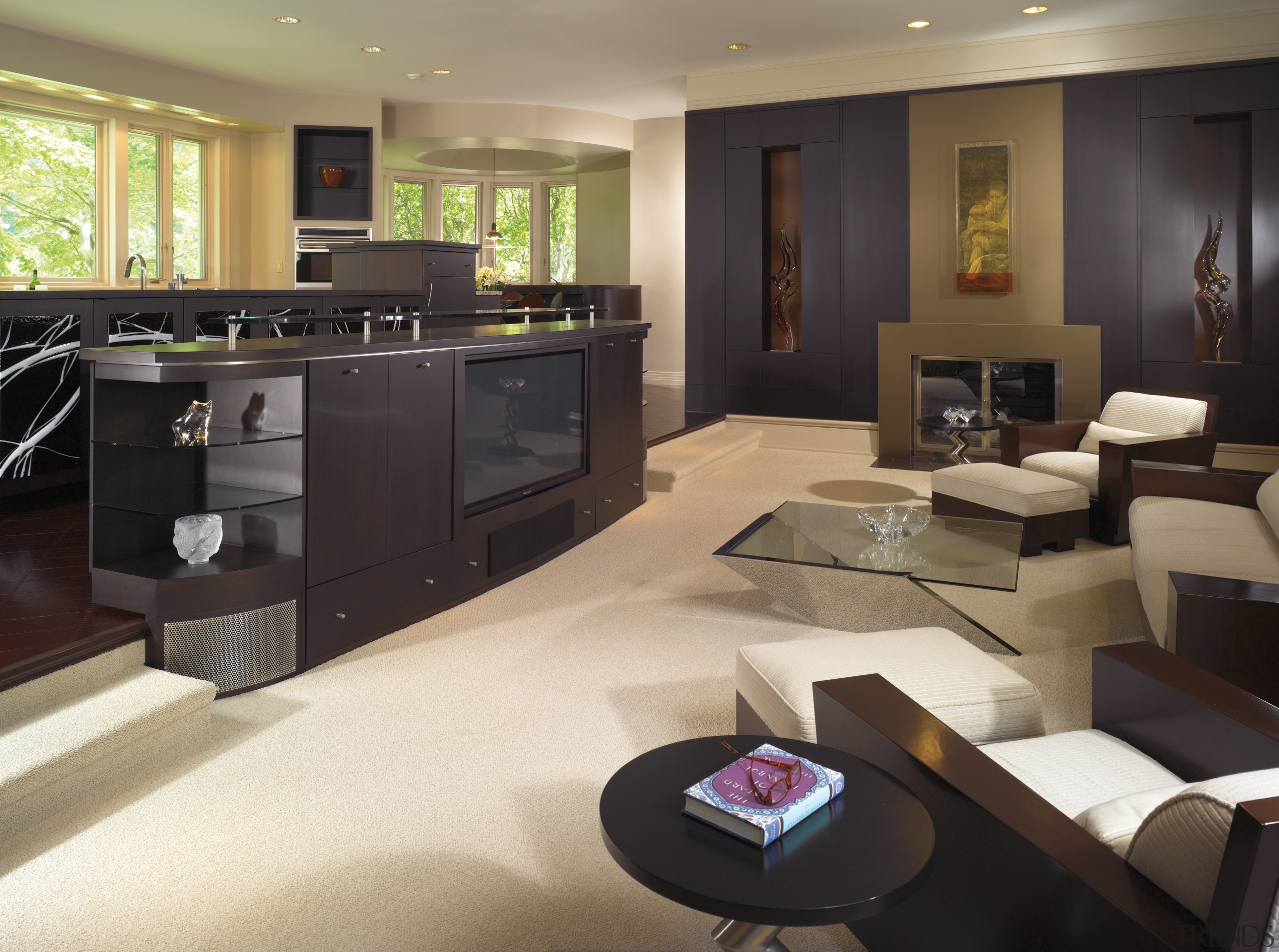 A view of the kitchen and living areas, floor, flooring, furniture, interior design, living room, property, room, black