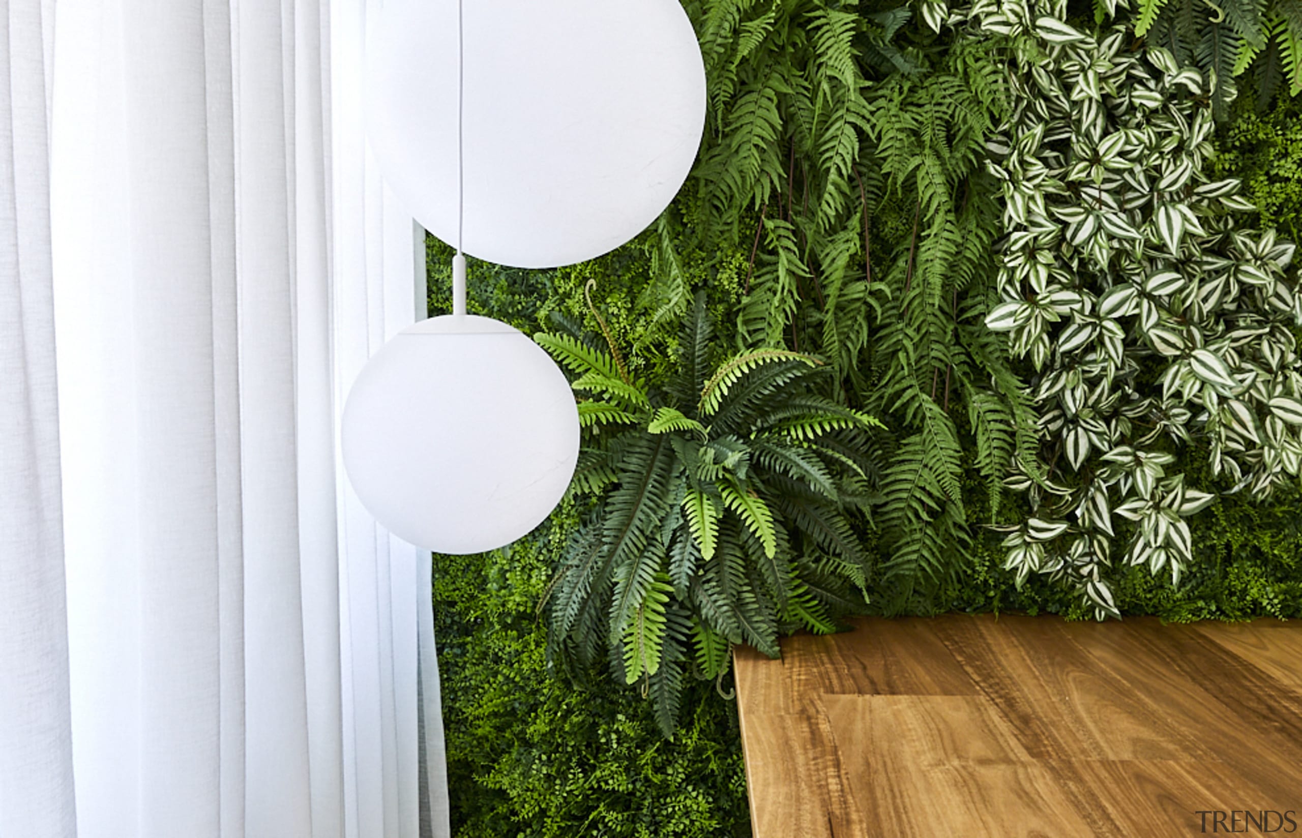 A green wall and timber steps. - Japanese 