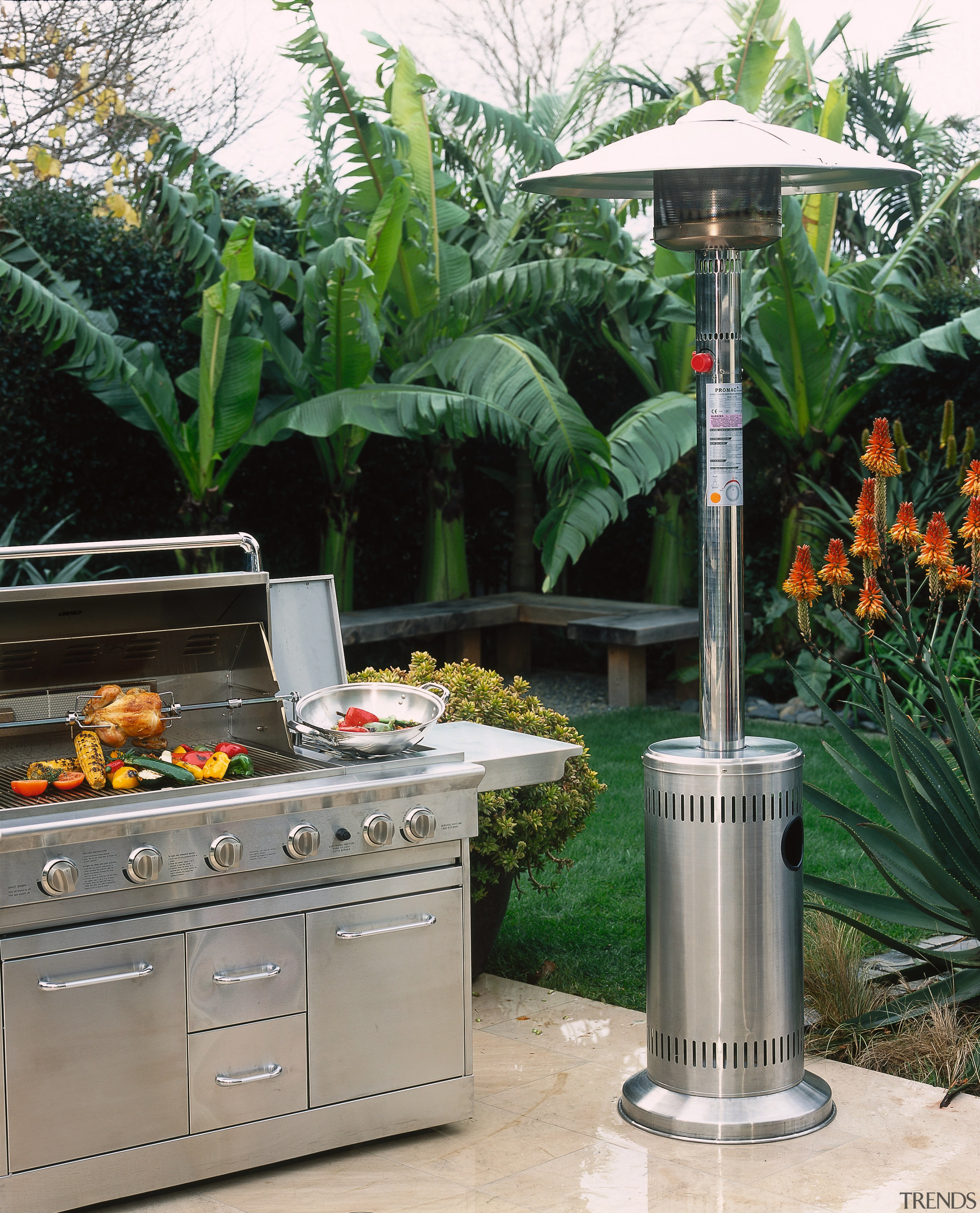 Outdoor patio area with stainless steel barbeque and arecales, flowerpot, home appliance, outdoor structure, patio heater, plant, tree