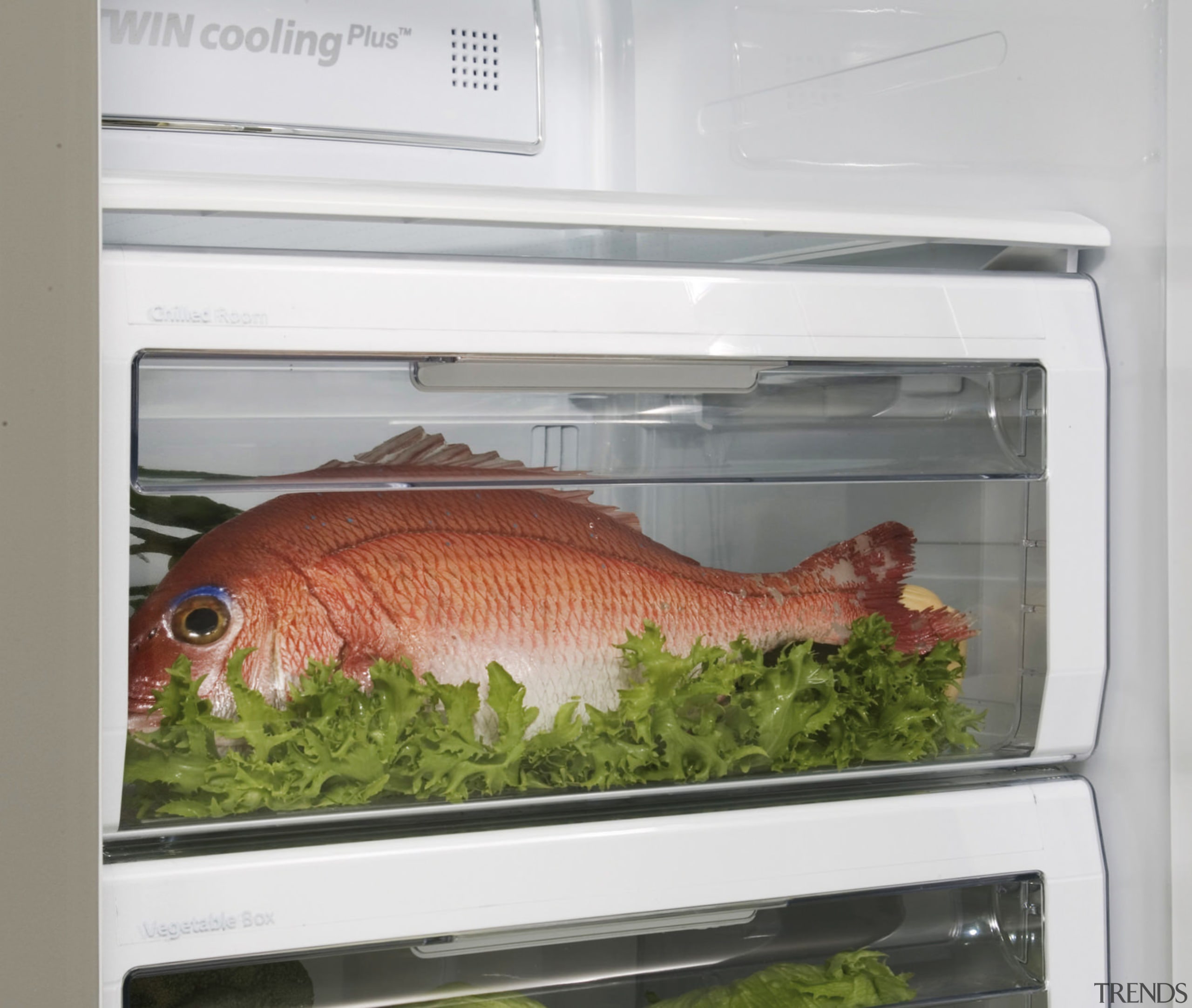 Image of the new Samsung g series side animal source foods, fish, white, gray
