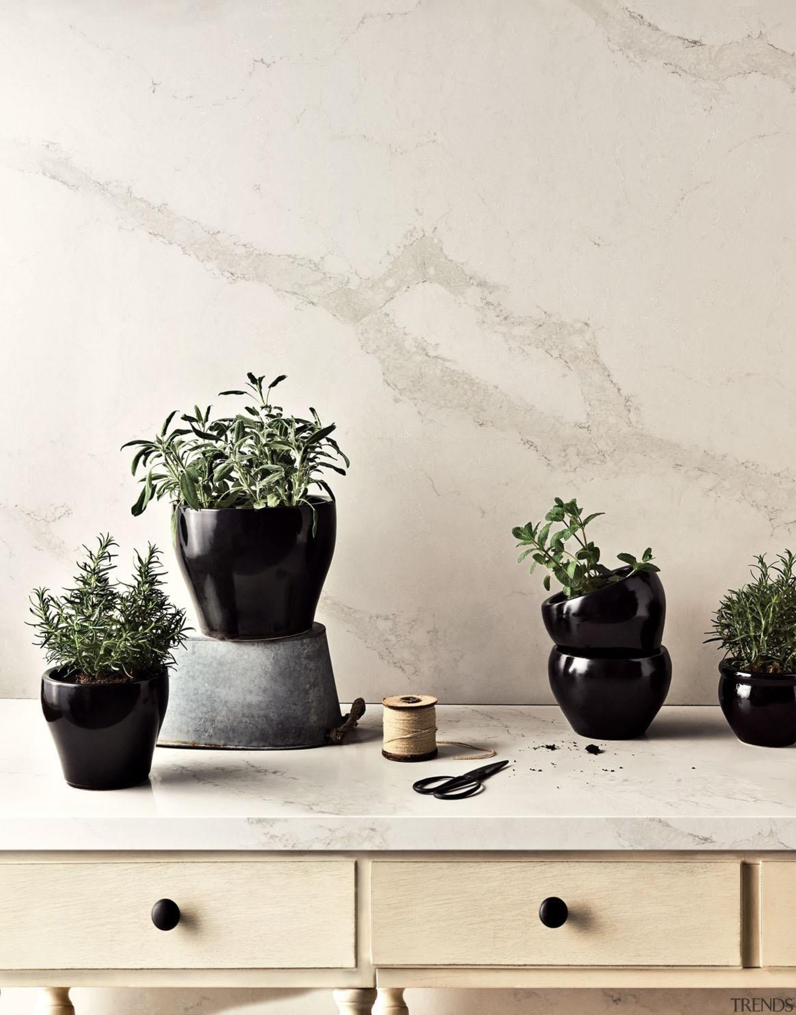 As Caesarstone's interpretation of natural Calacatta marble, Calacatta ceramic, flowerpot, houseplant, interior design, plant, product design, still life photography, table, vase, wall, white