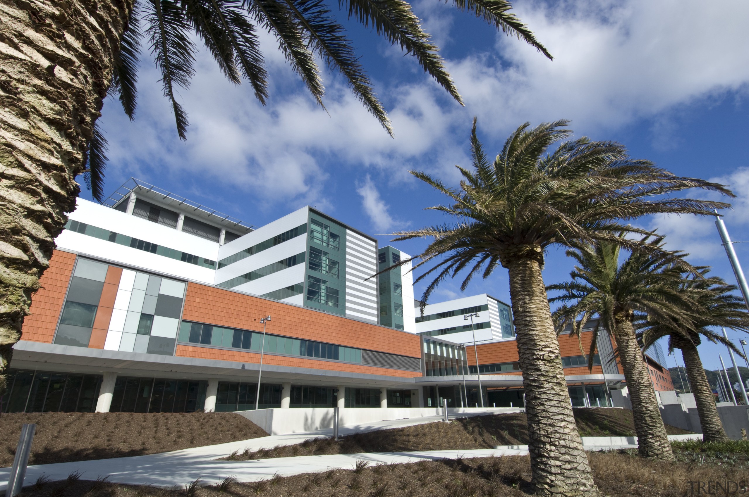 The new Wellington Regional Hospital was designed by apartment, arecales, building, condominium, home, hotel, mixed use, palm tree, property, real estate, resort, tree, teal, black