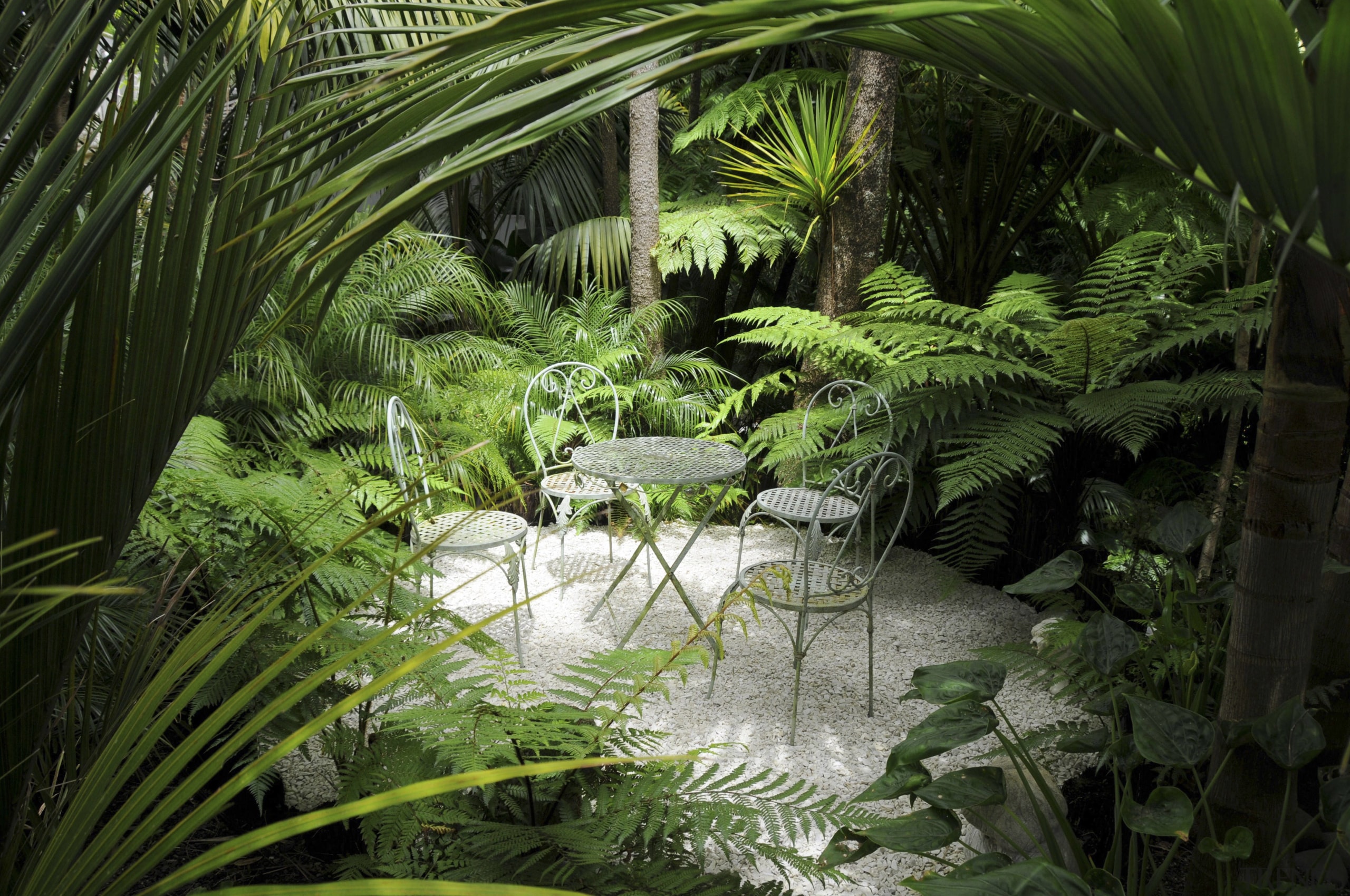 View of outdoor living space filled with mature arecales, biome, botanical garden, ecosystem, flora, forest, garden, grass, green, jungle, landscape, leaf, nature, palm tree, plant, pond, rainforest, tree, tropics, vegetation, water, watercourse, green, brown