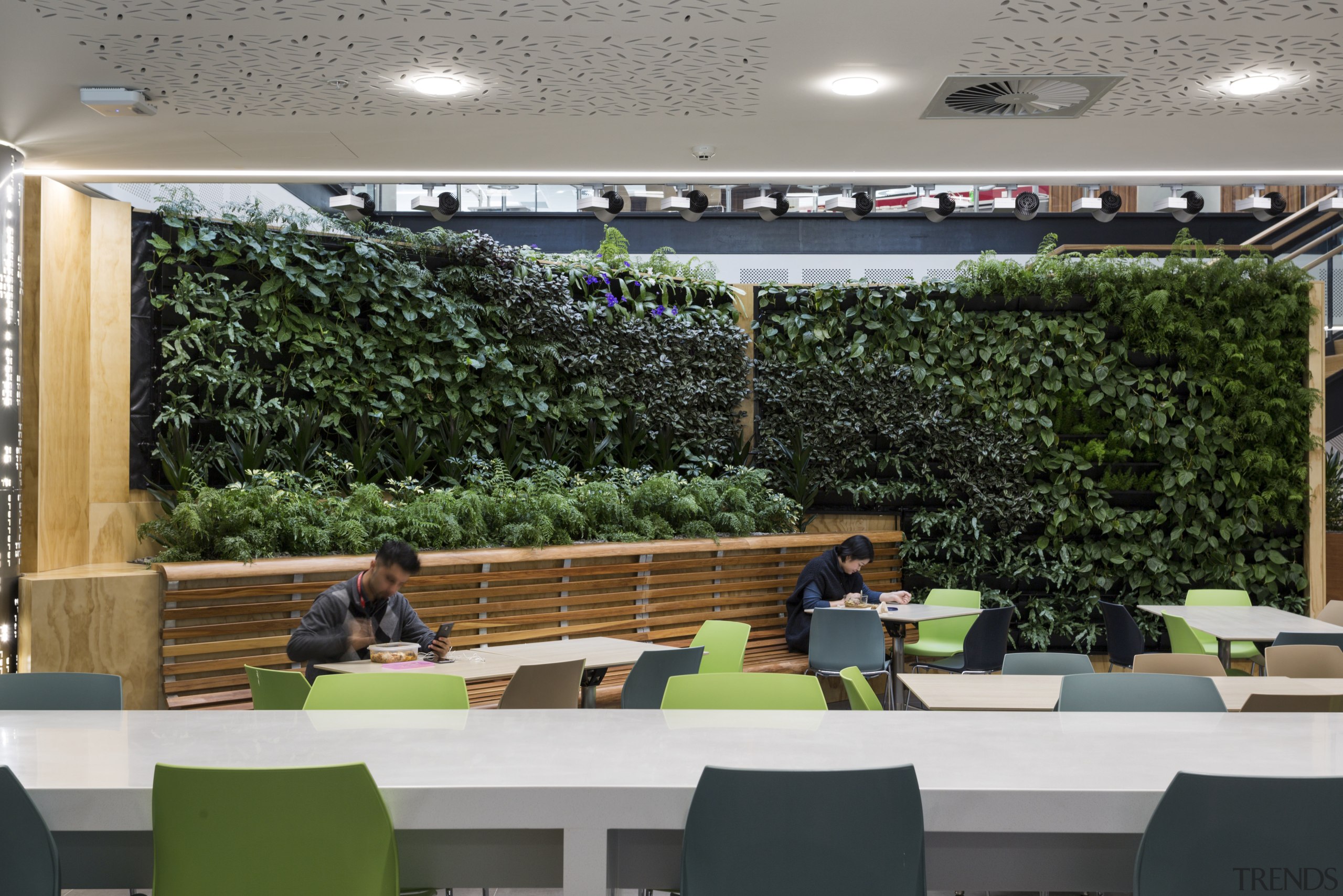 A substantial green wall at Level One of plant