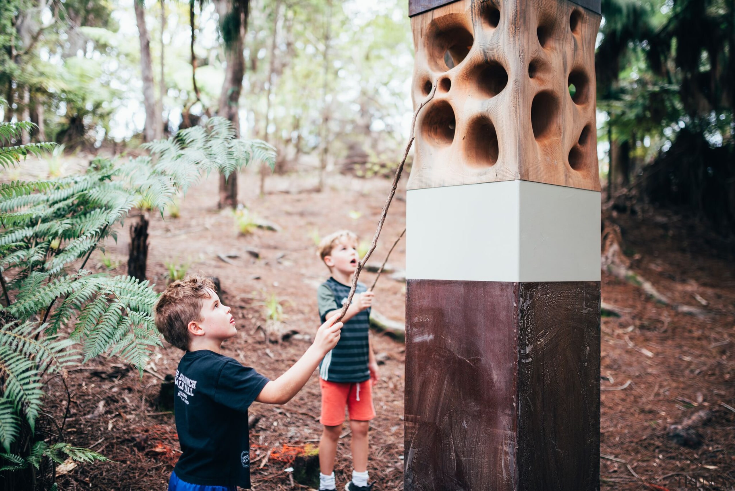 Finalist in NZ Specialty Timber Award (Category 8) forest, girl, photograph, plant, recreation, tree, woodland, black, gray