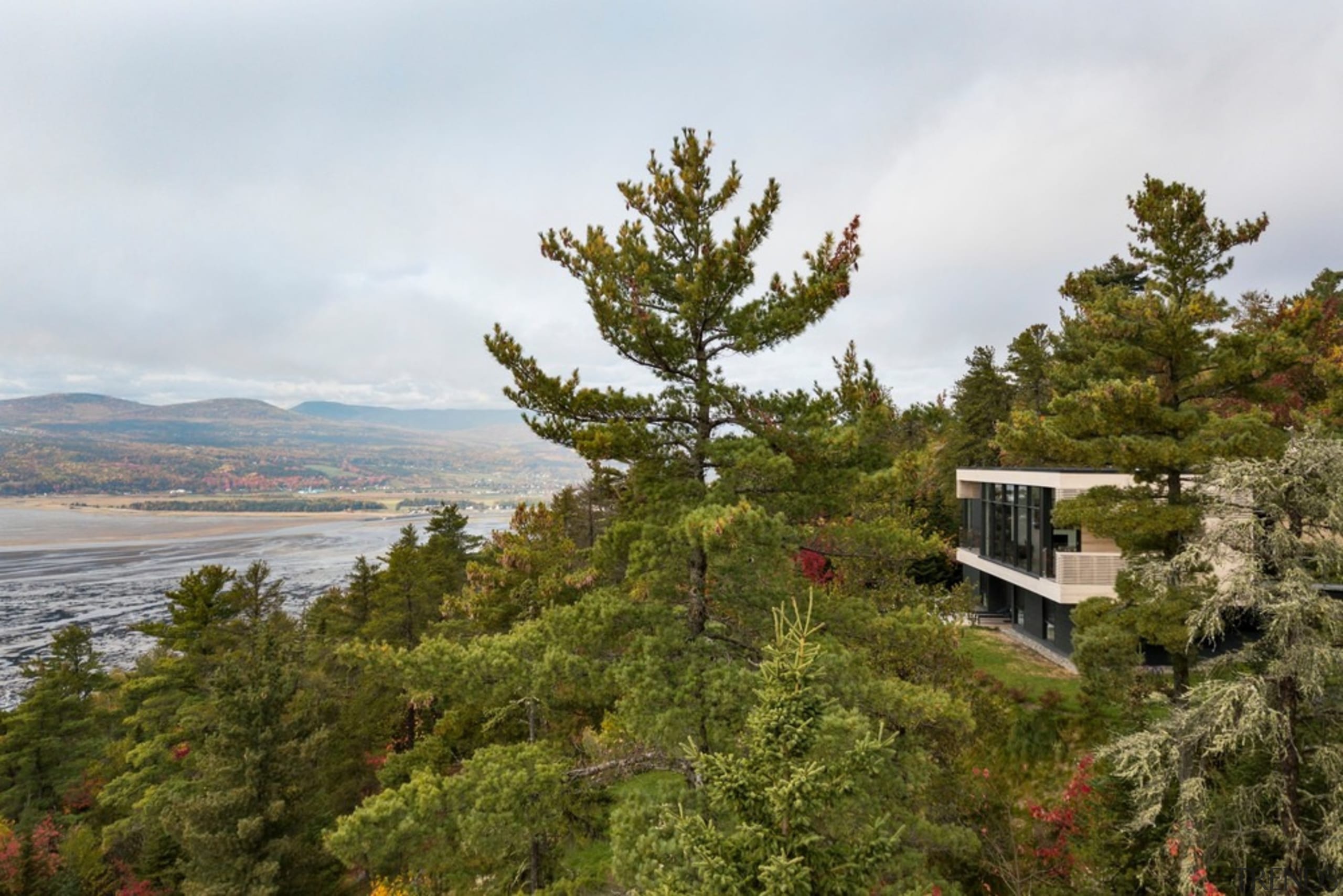 All mature vegetation was preserved, and the colour biome, cloud, fell, forest, highland, hill, hill station, house, landscape, leaf, mountain, pine family, plant, sky, tree, vegetation, wilderness, woody plant, brown, white