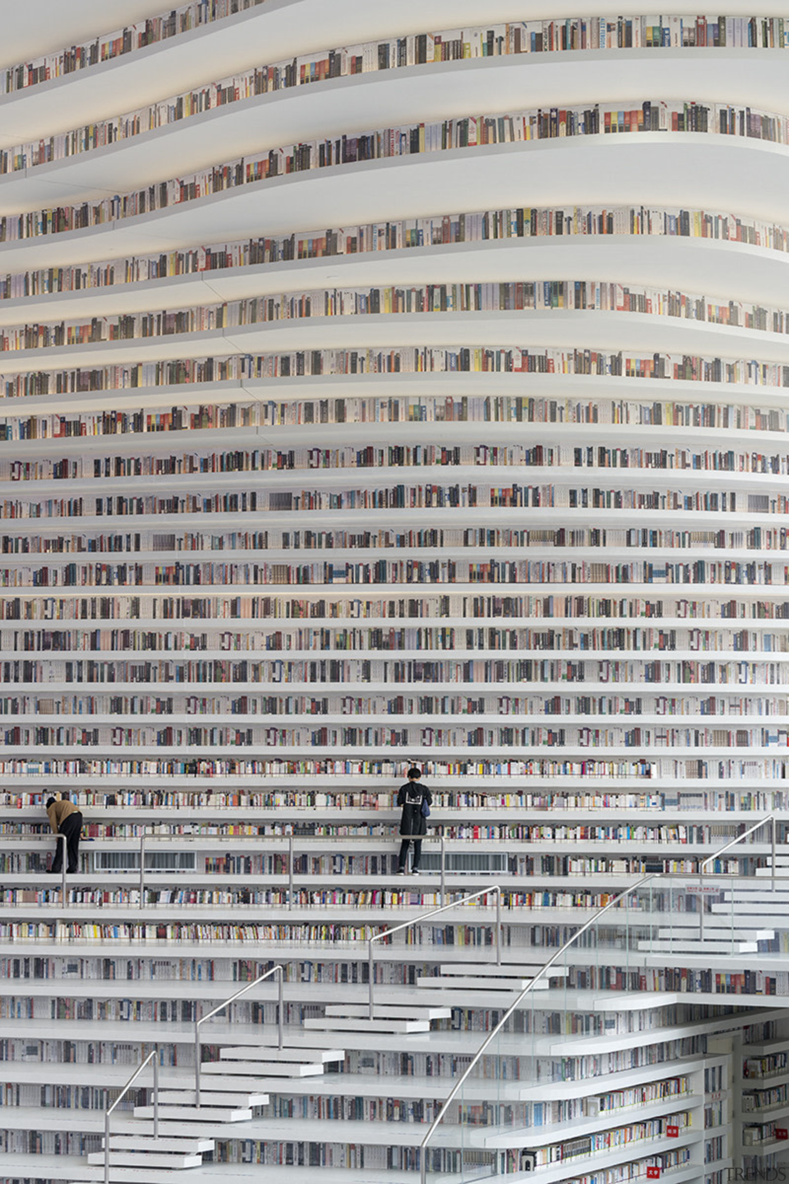 The fluid lines of the book shelves in building, text, gray
