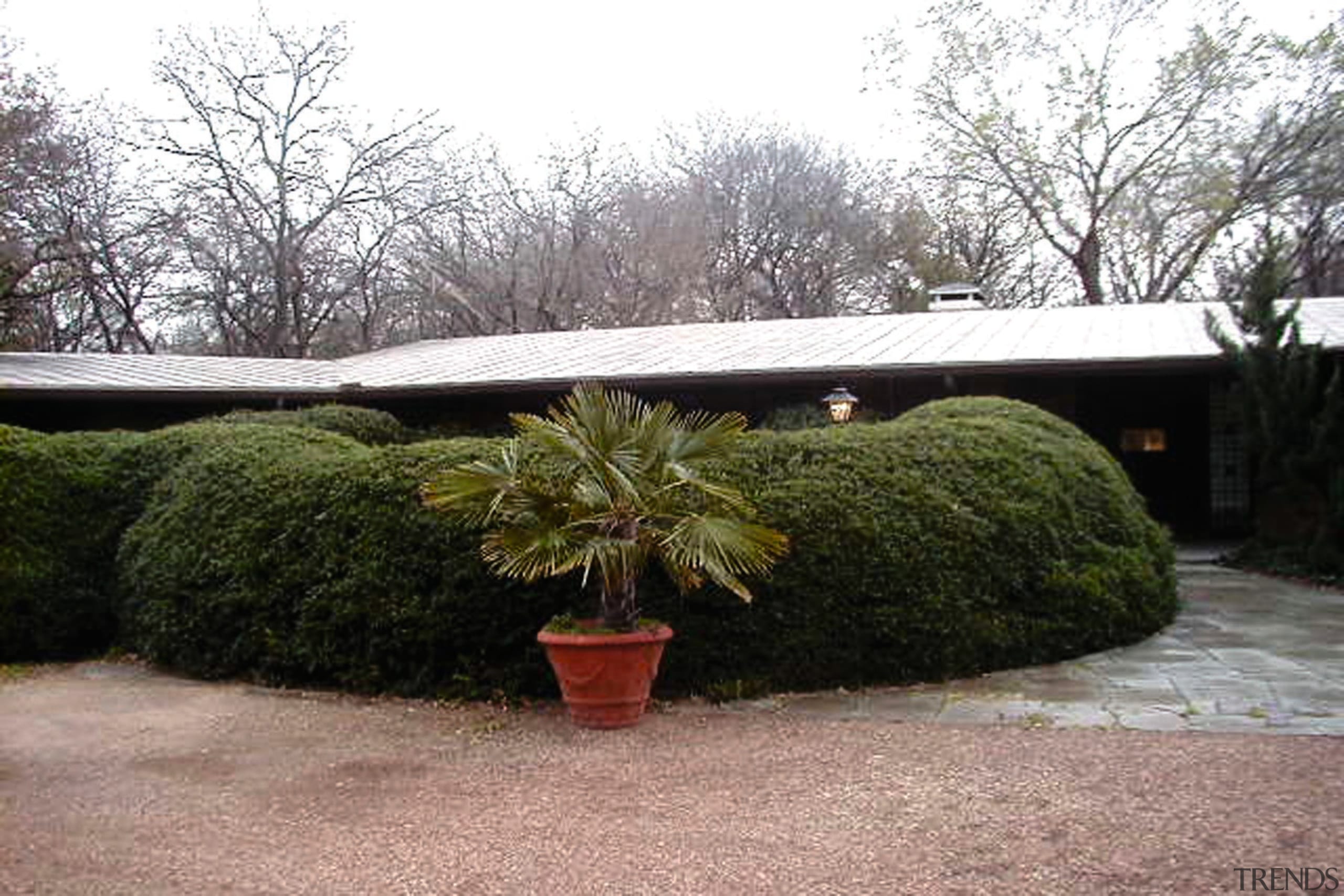view of outdoor garden area - view of evergreen, garden, grass, hedge, home, house, landscape, plant, property, real estate, roof, shrub, tree, white, black