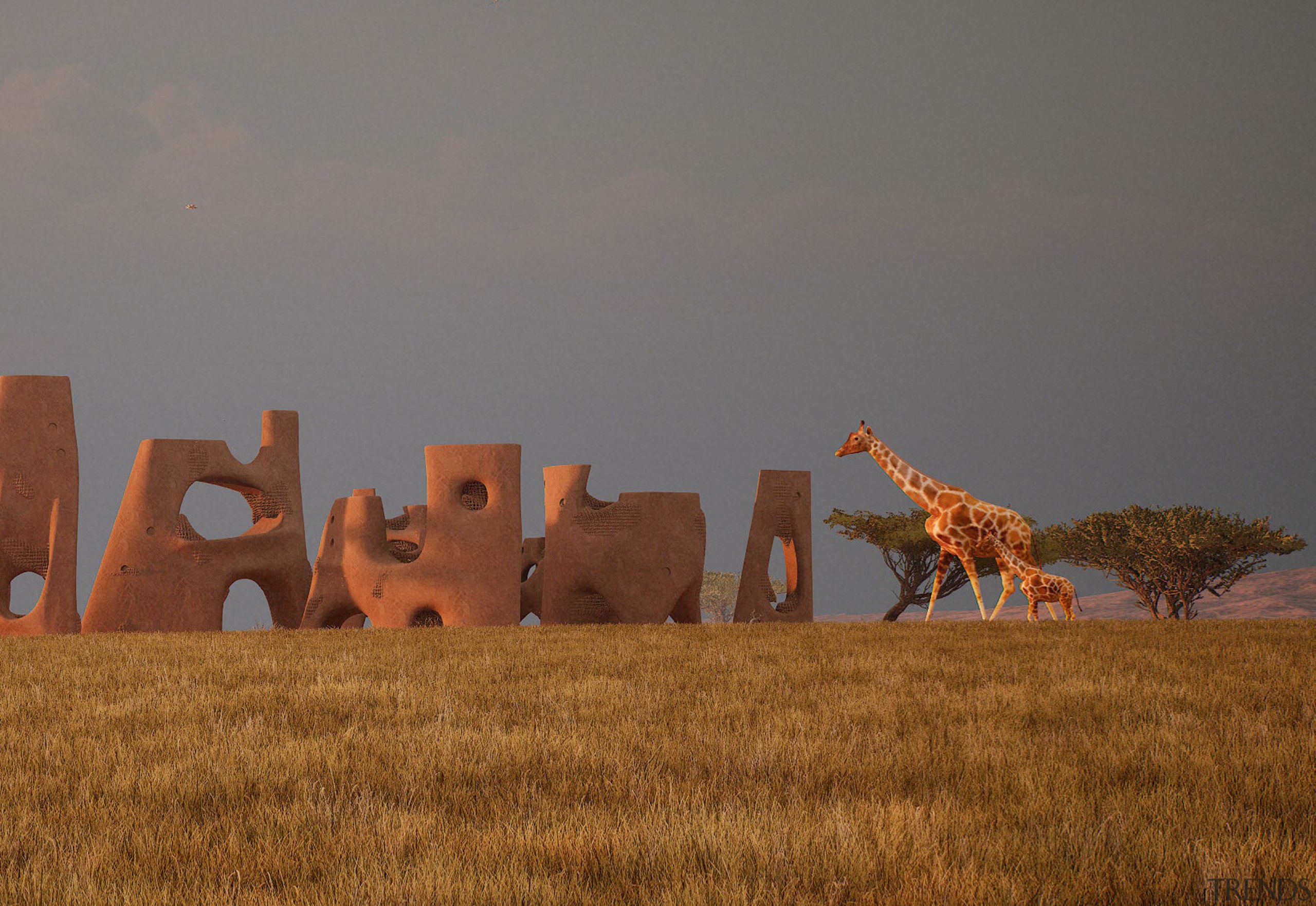 Giraffe Water Towers ZOO Architects 4 copy - 